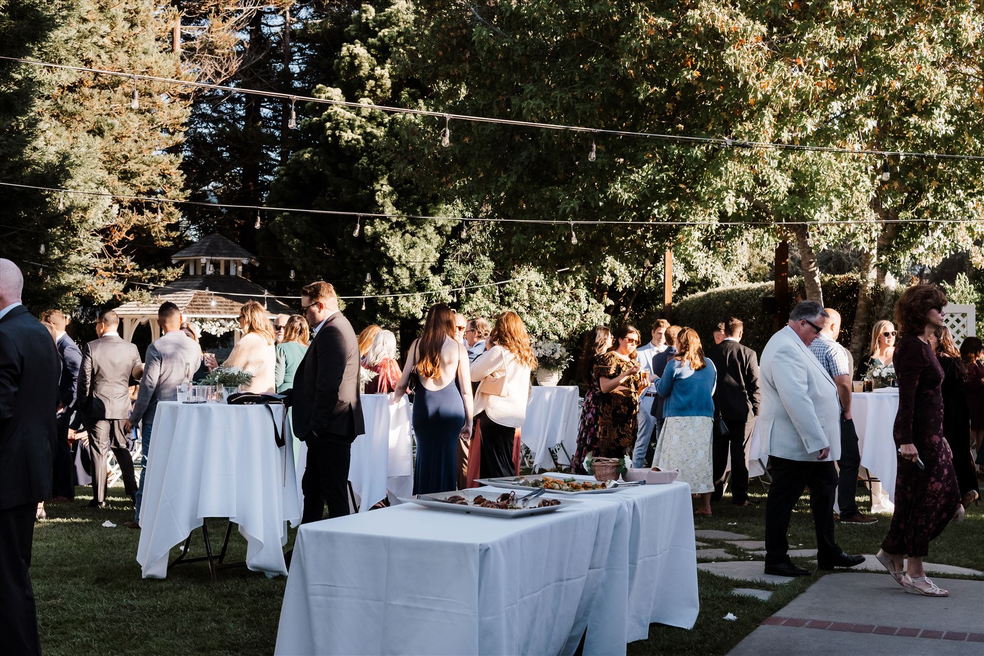 Final-8516.jpg  by Sarah Williams