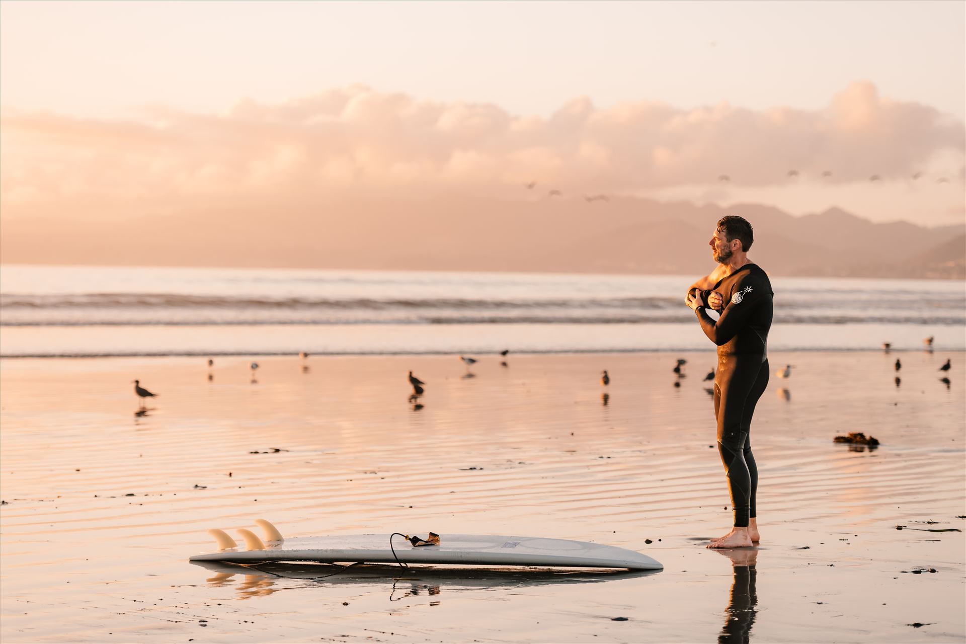 Final-8050.jpg  by Sarah Williams