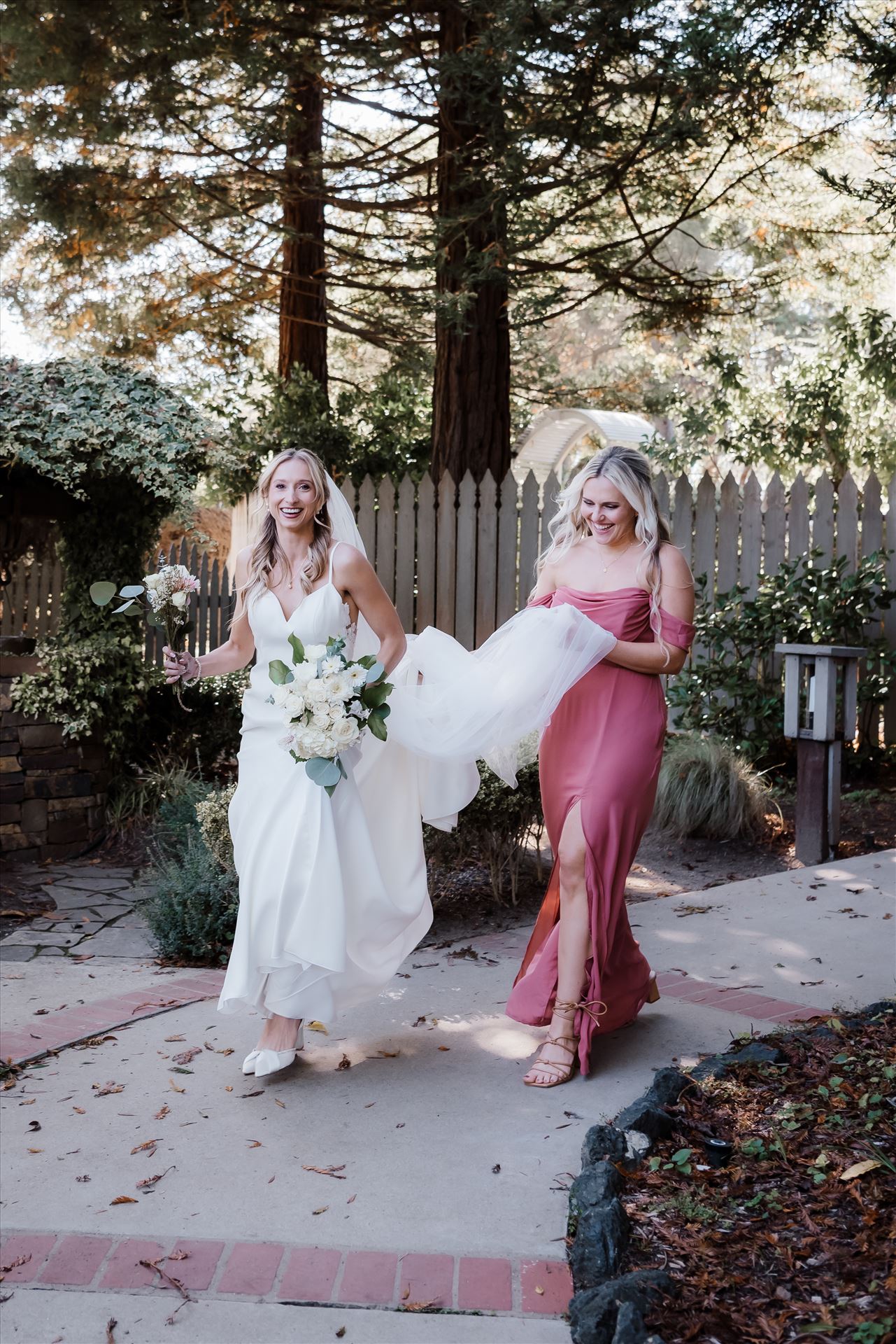 Final-8143.jpg  by Sarah Williams