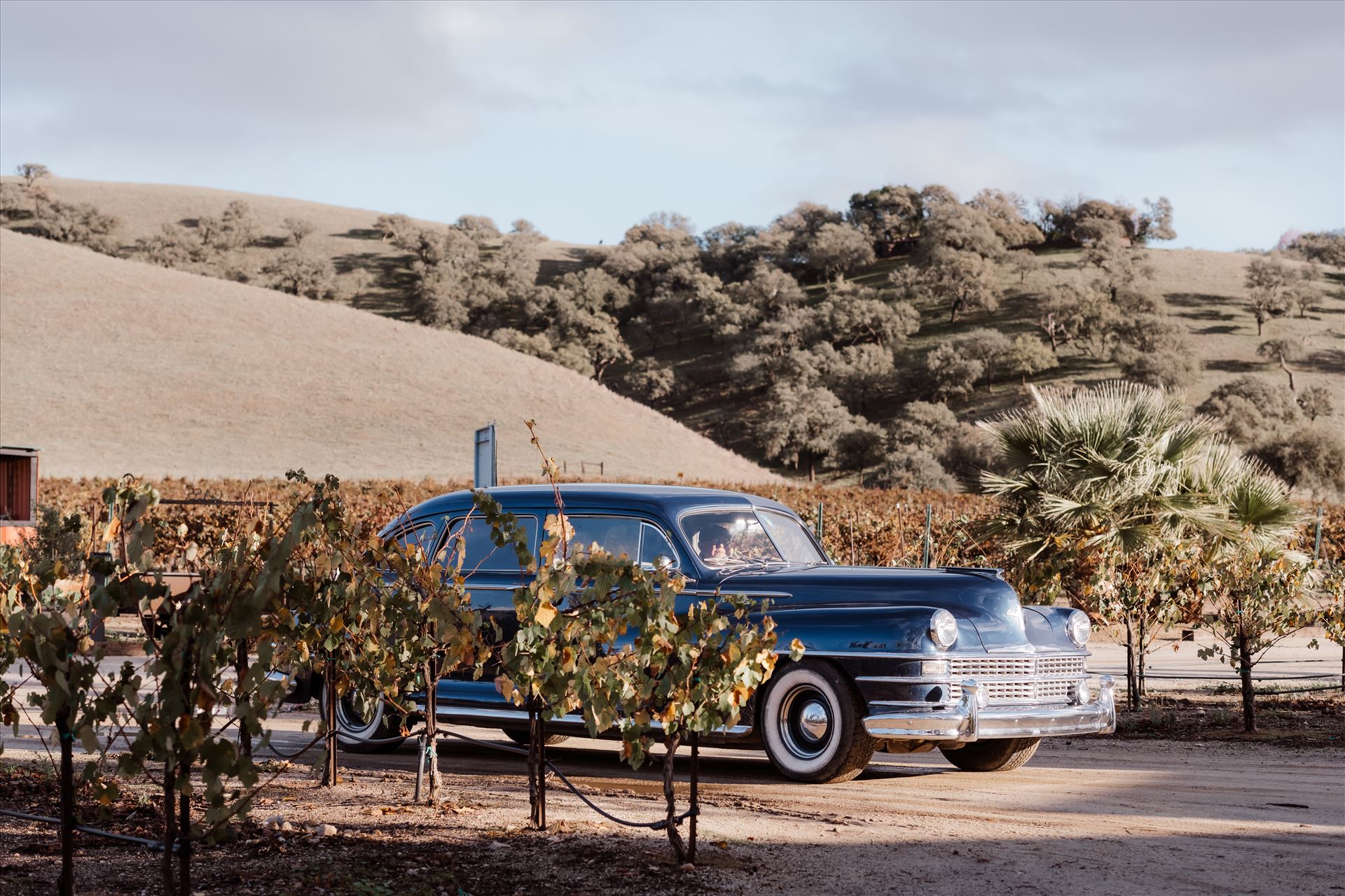 Final-2359.jpg  by Sarah Williams