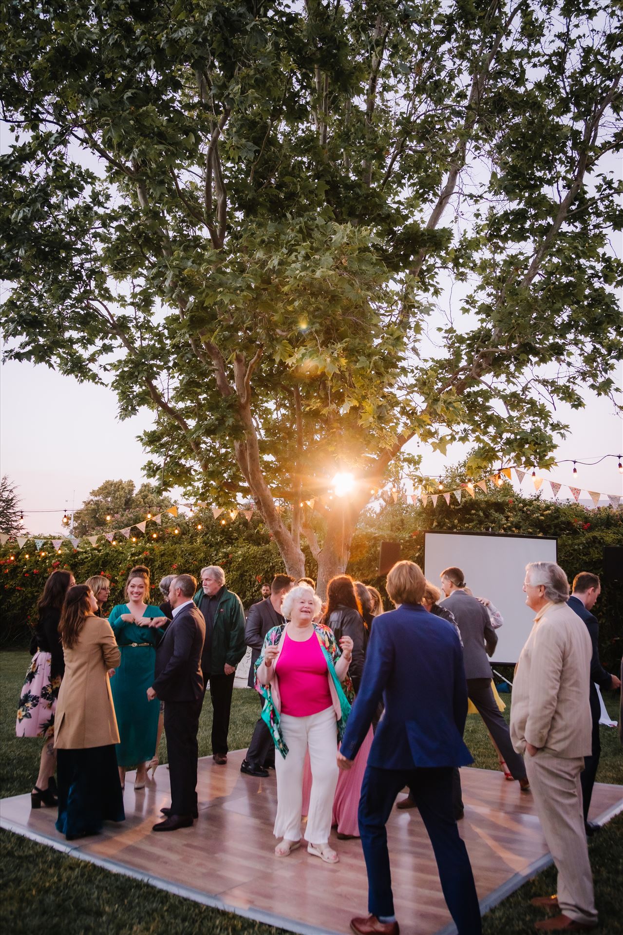 _Y9A5894.JPG  by Sarah Williams