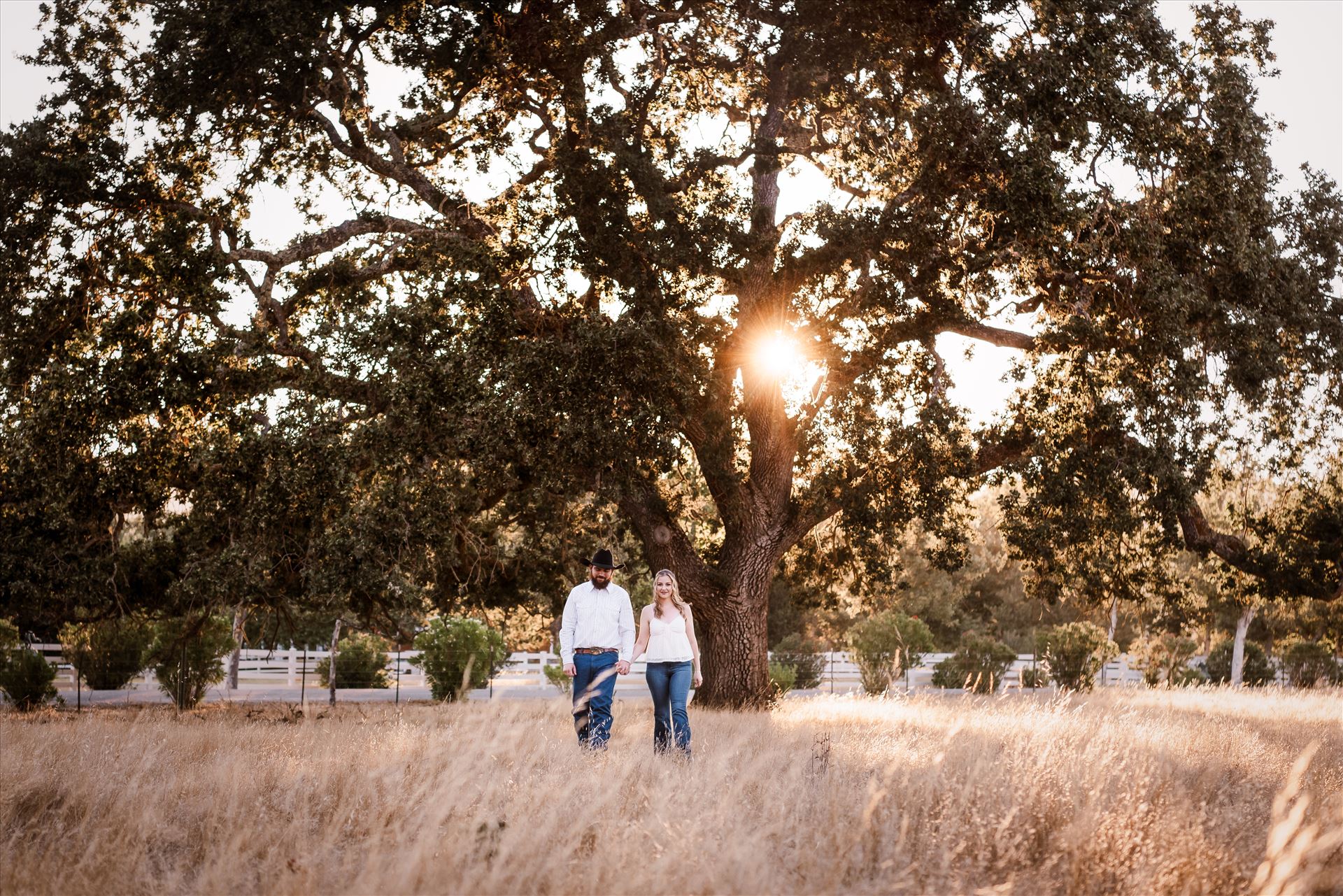 Final--4.jpg  by Sarah Williams