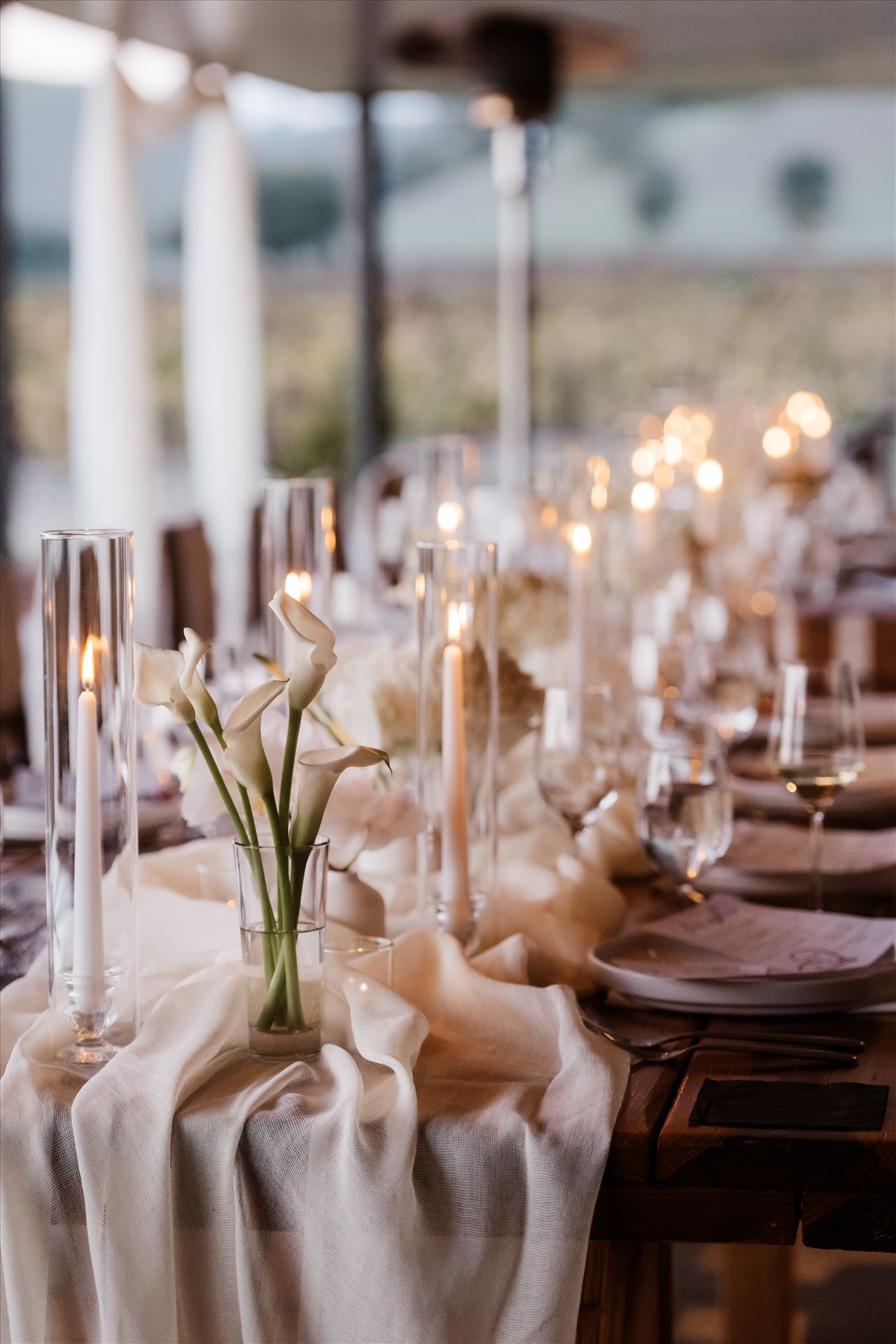 Final-2776.jpg  by Sarah Williams