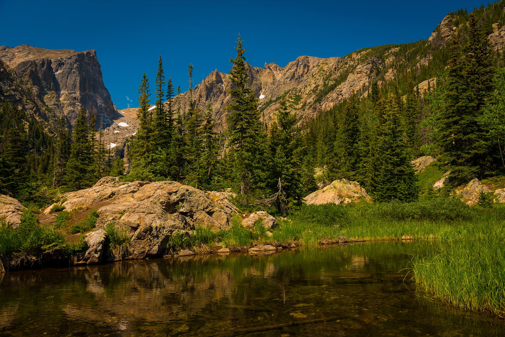 Rocky Mountain Reflections  by Sarah Williams