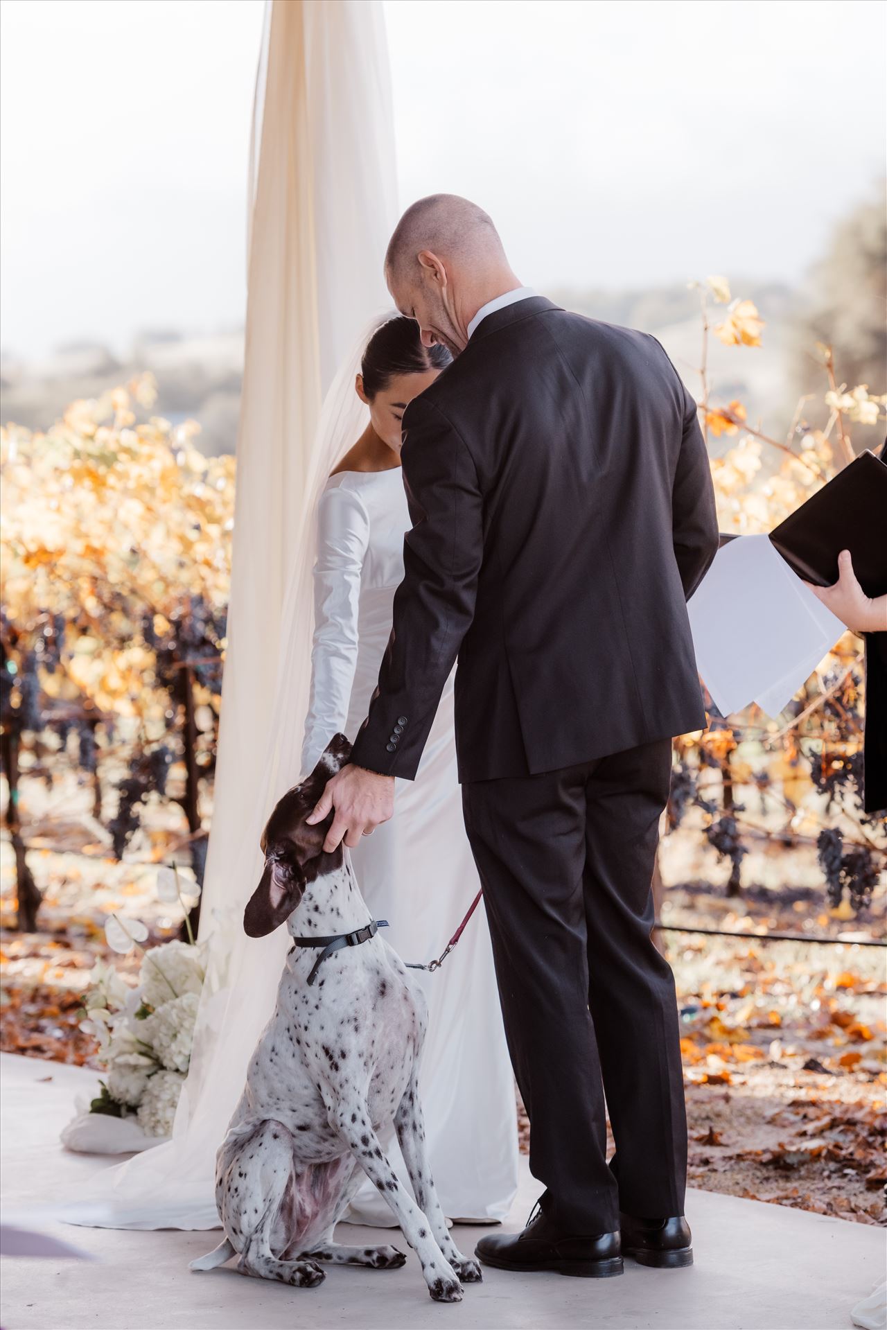 Final-2442.jpg  by Sarah Williams