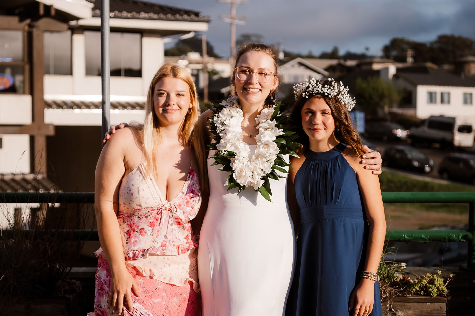 Final-7837.jpg  by Sarah Williams