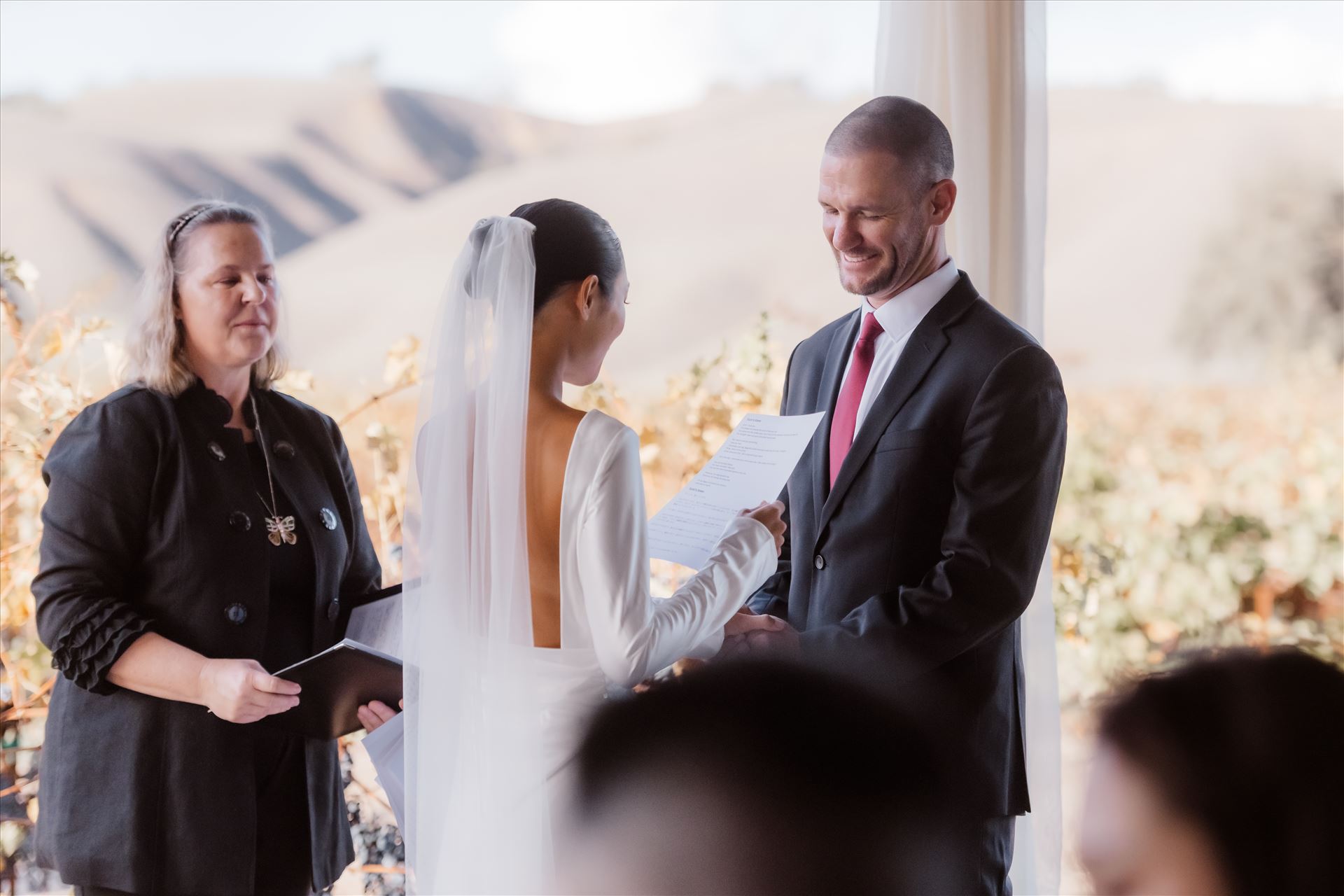 Final-2504.jpg  by Sarah Williams