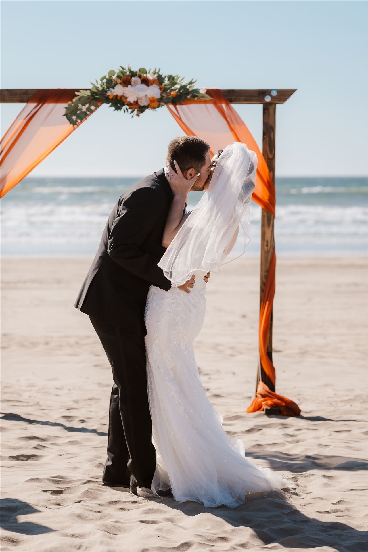 Final-4341.jpg  by Sarah Williams