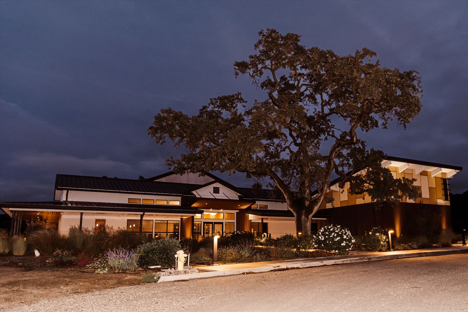 Final-9412.jpg  by Sarah Williams