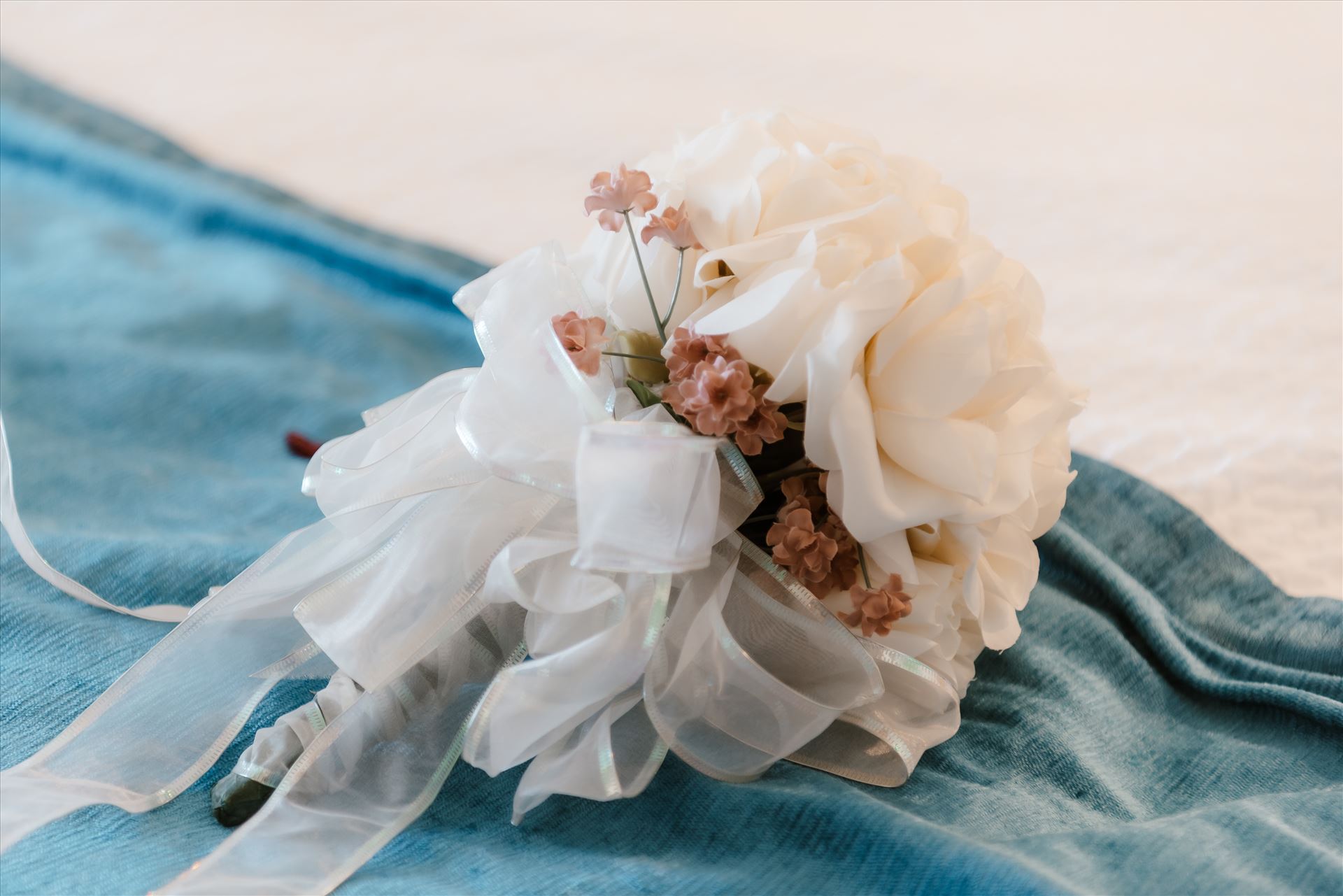 Final-0547.jpg  by Sarah Williams