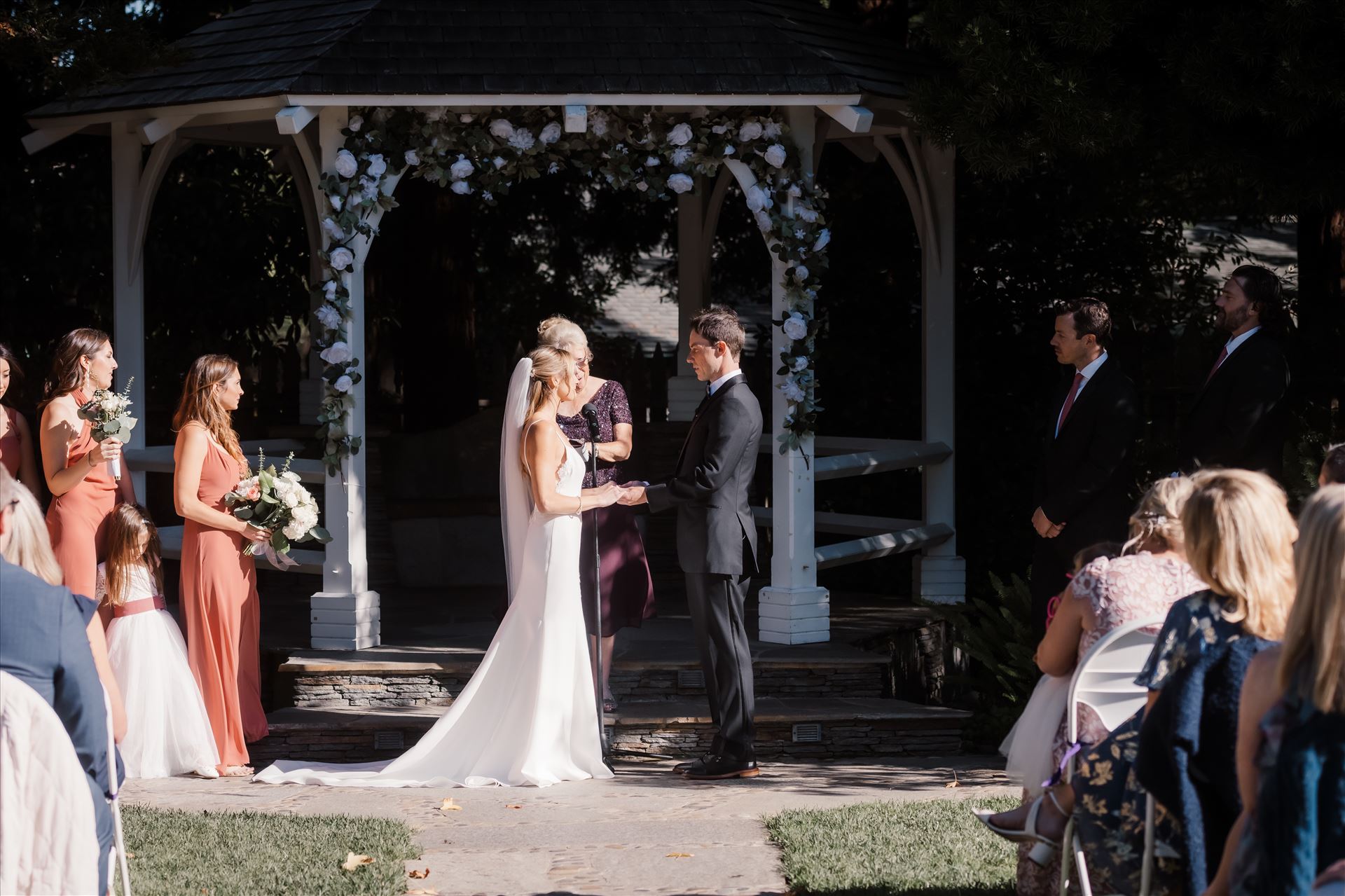 Final-0221.jpg  by Sarah Williams