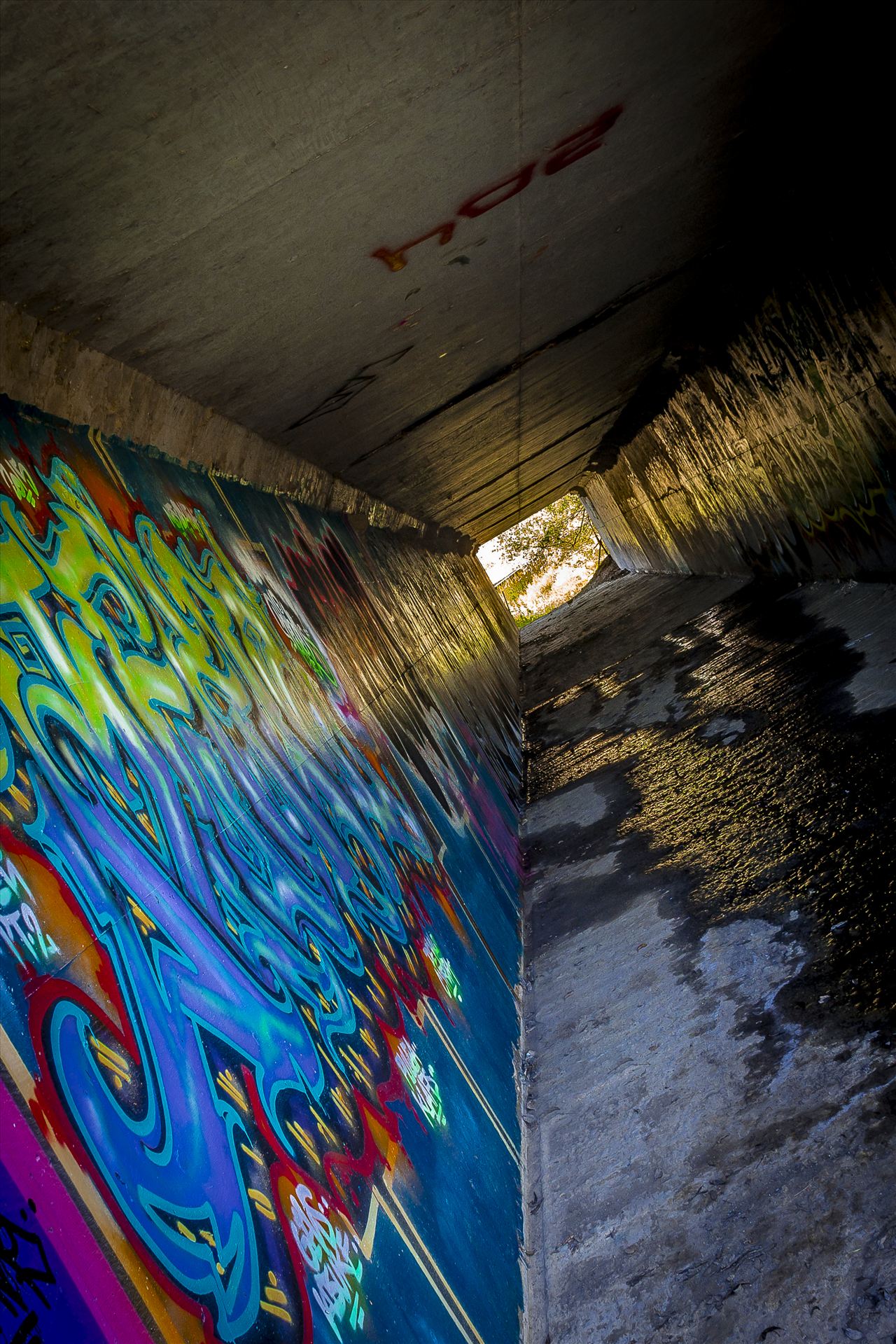 Tilted Tunnel.jpg  by Sarah Williams