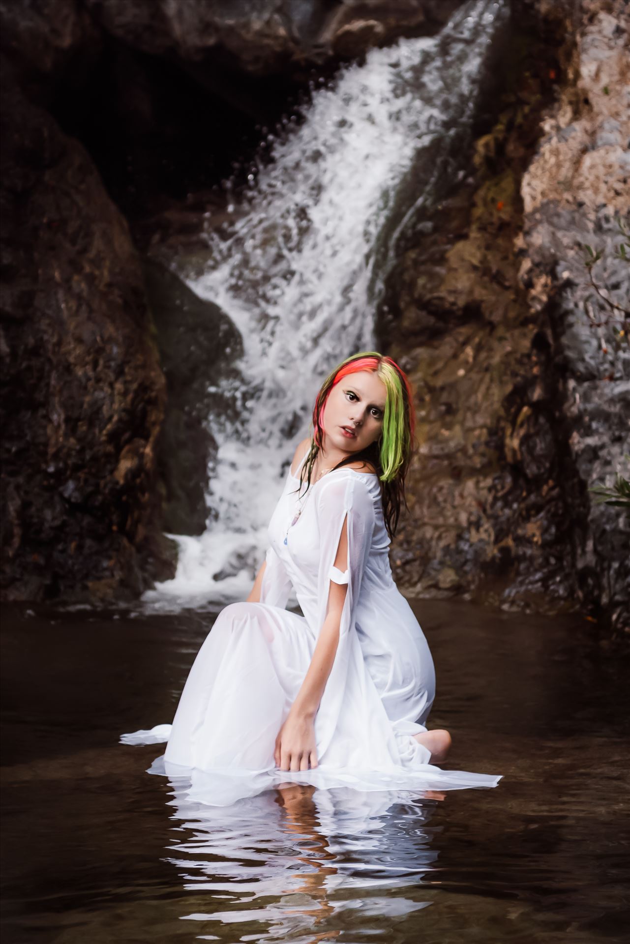 Final--5.jpg  by Sarah Williams