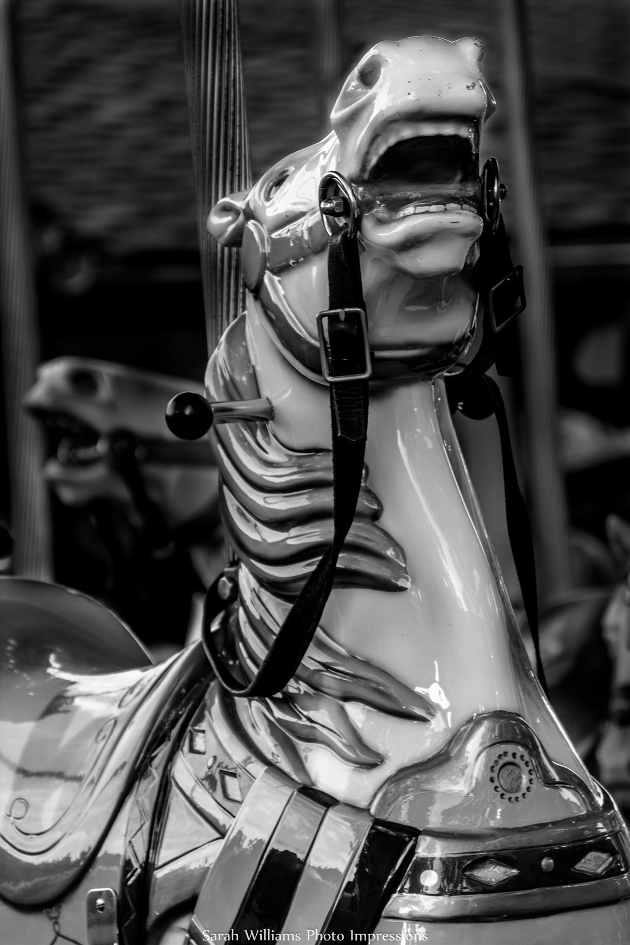 Carousel Horse BW.jpg  by Sarah Williams
