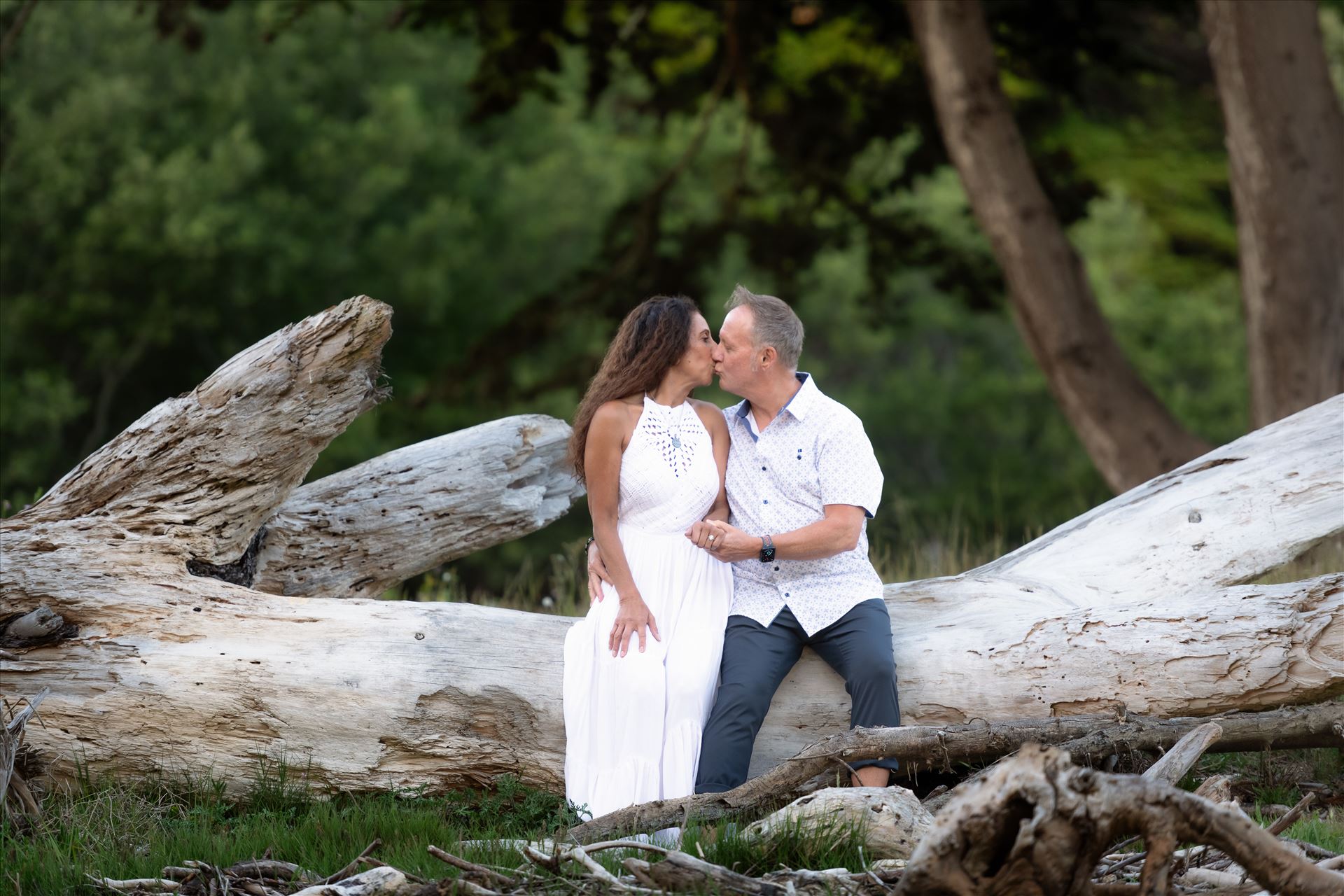 Final--4.jpg  by Sarah Williams