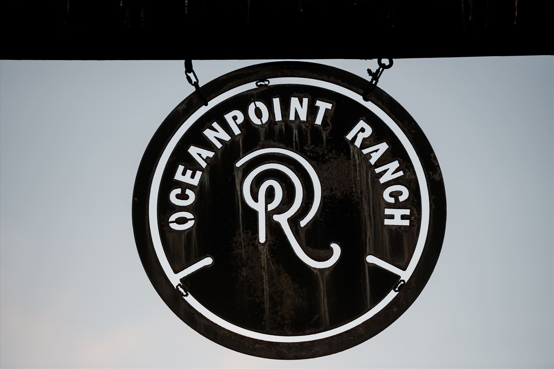 Final-5530.jpg  by Sarah Williams