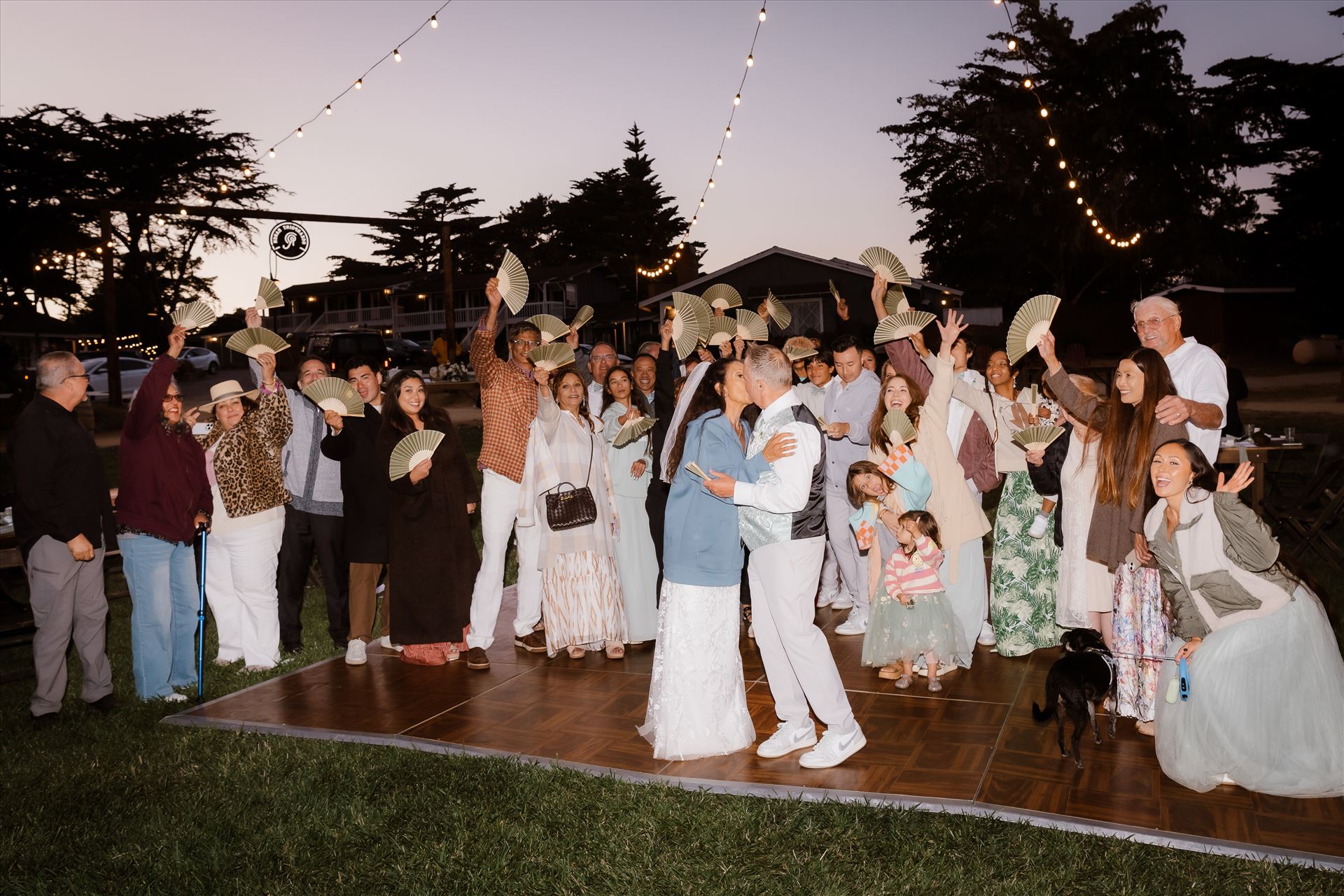 Final-6990.jpg  by Sarah Williams