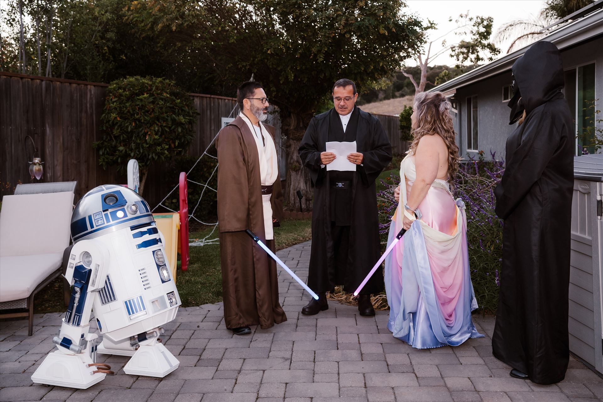 Final-7304.jpg  by Sarah Williams