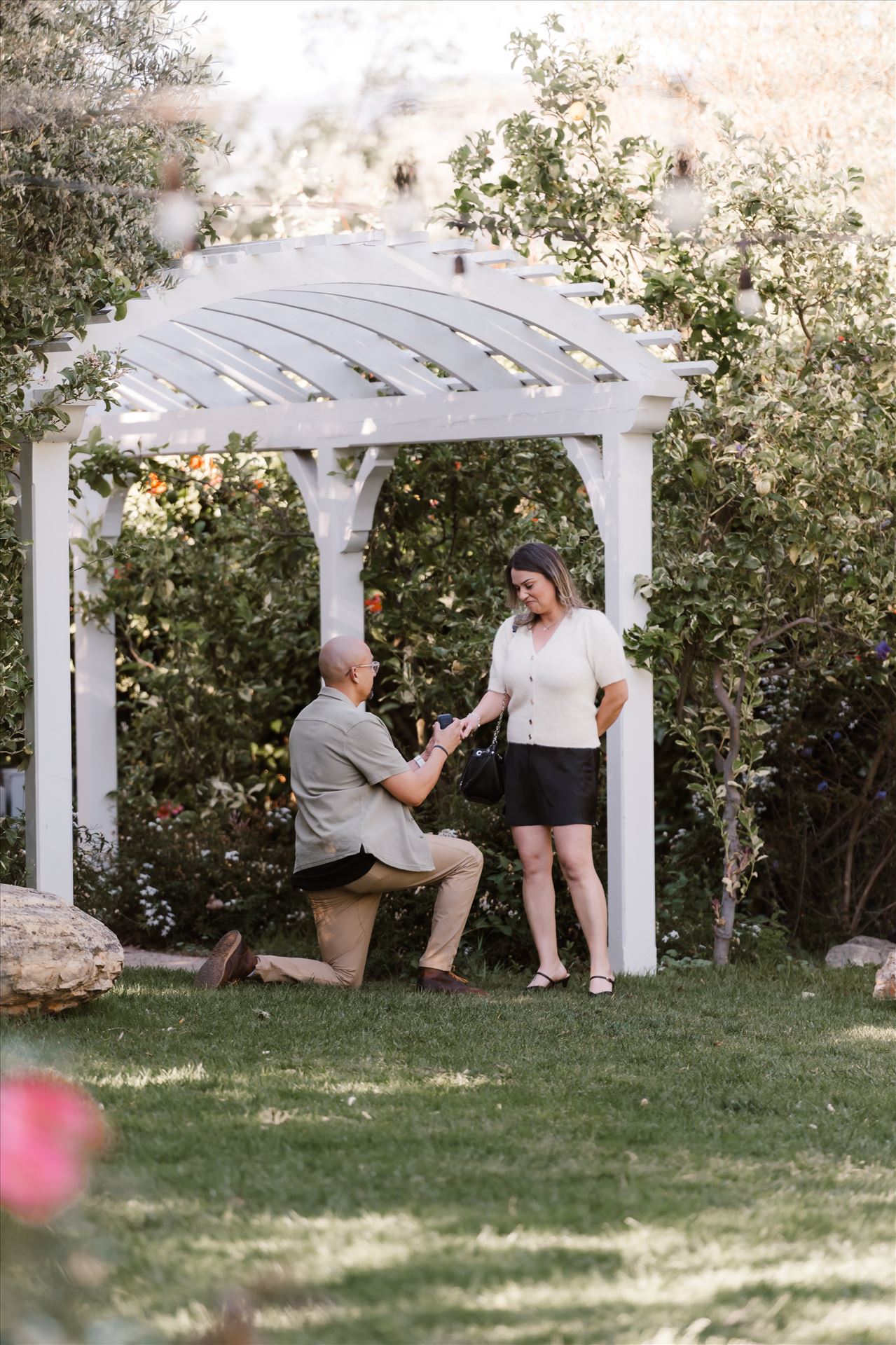 Final-5163.jpg  by Sarah Williams