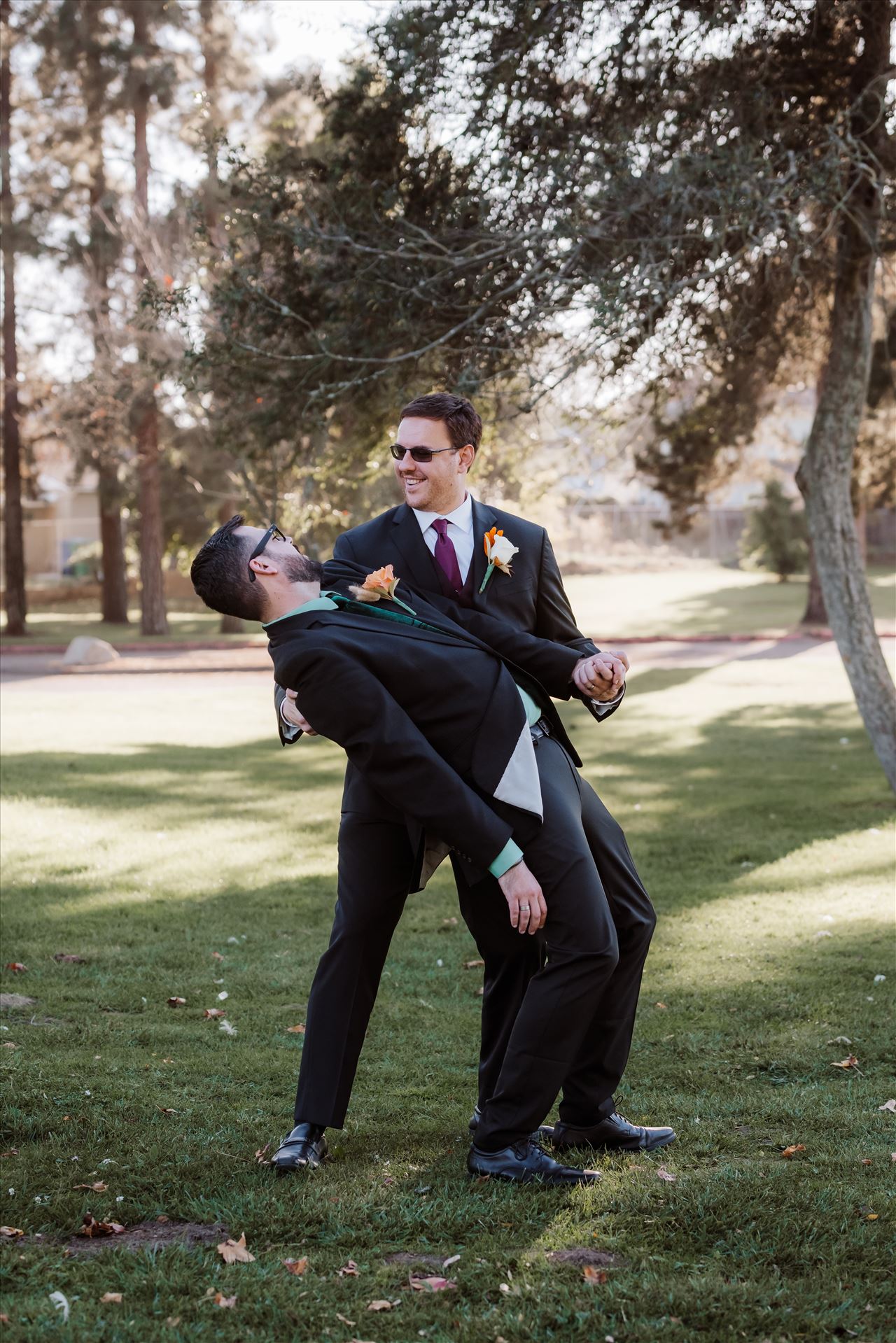 Final-1798.jpg  by Sarah Williams