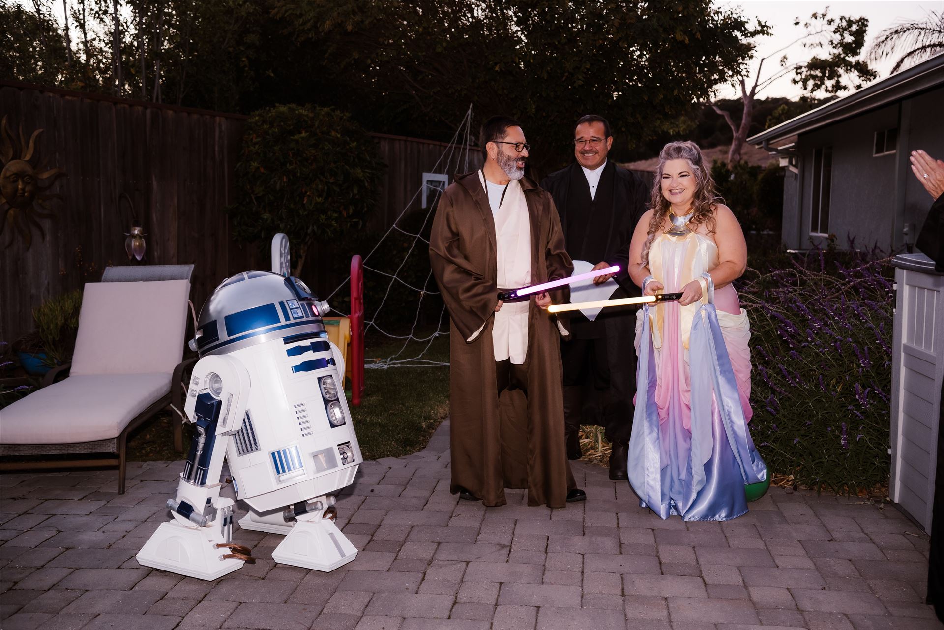 Final-7362.jpg  by Sarah Williams