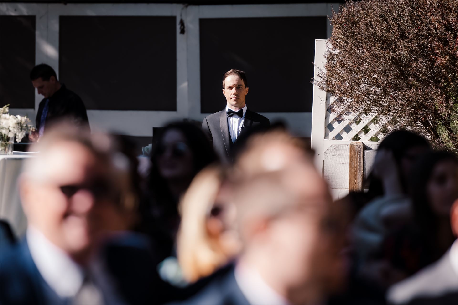 Final-9880.jpg  by Sarah Williams