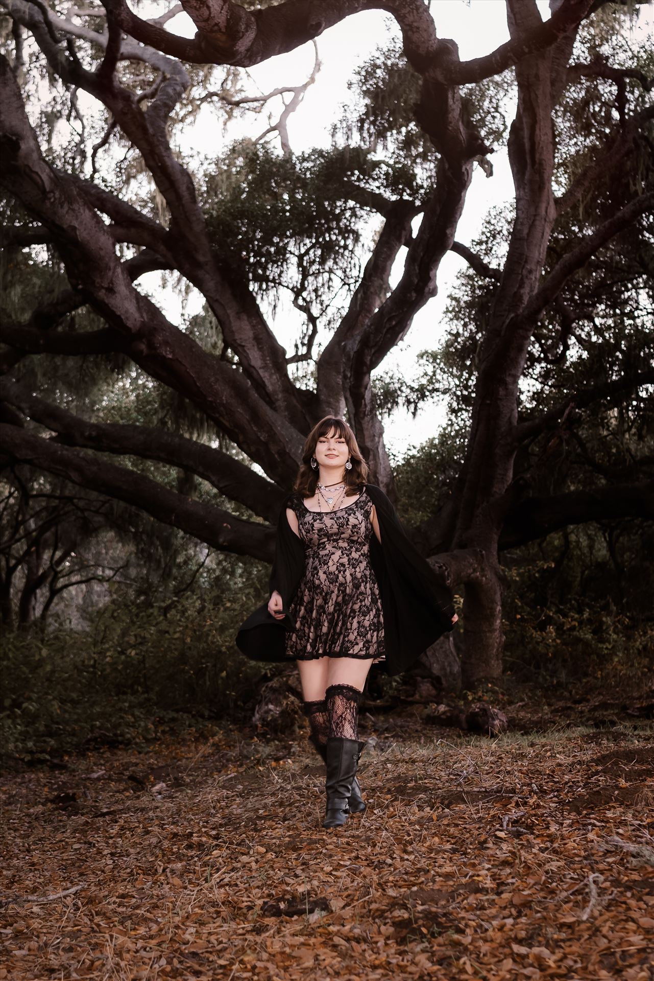 Final Night Shots-.jpg  by Sarah Williams