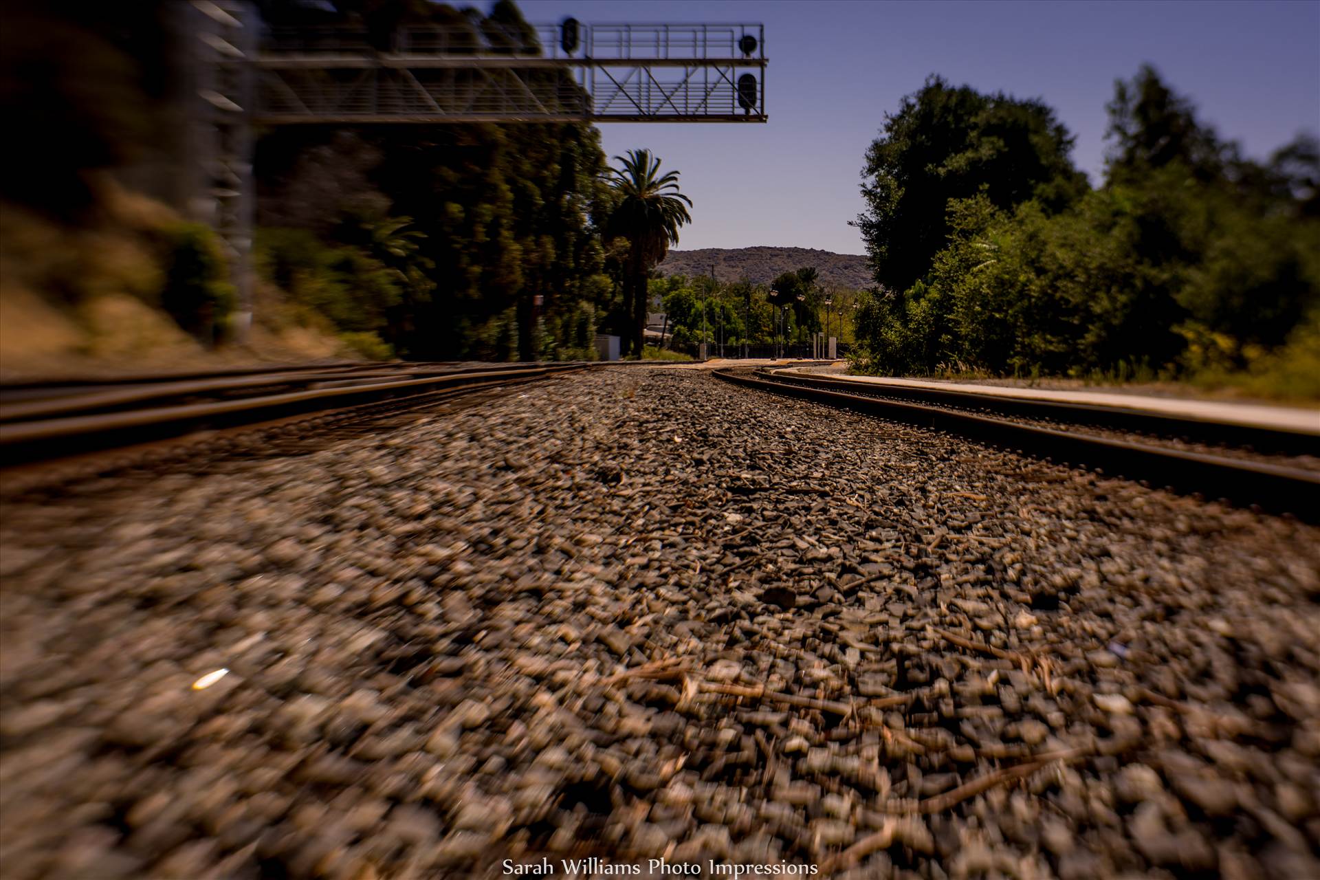 Between the Tracks.jpg undefined by Sarah Williams