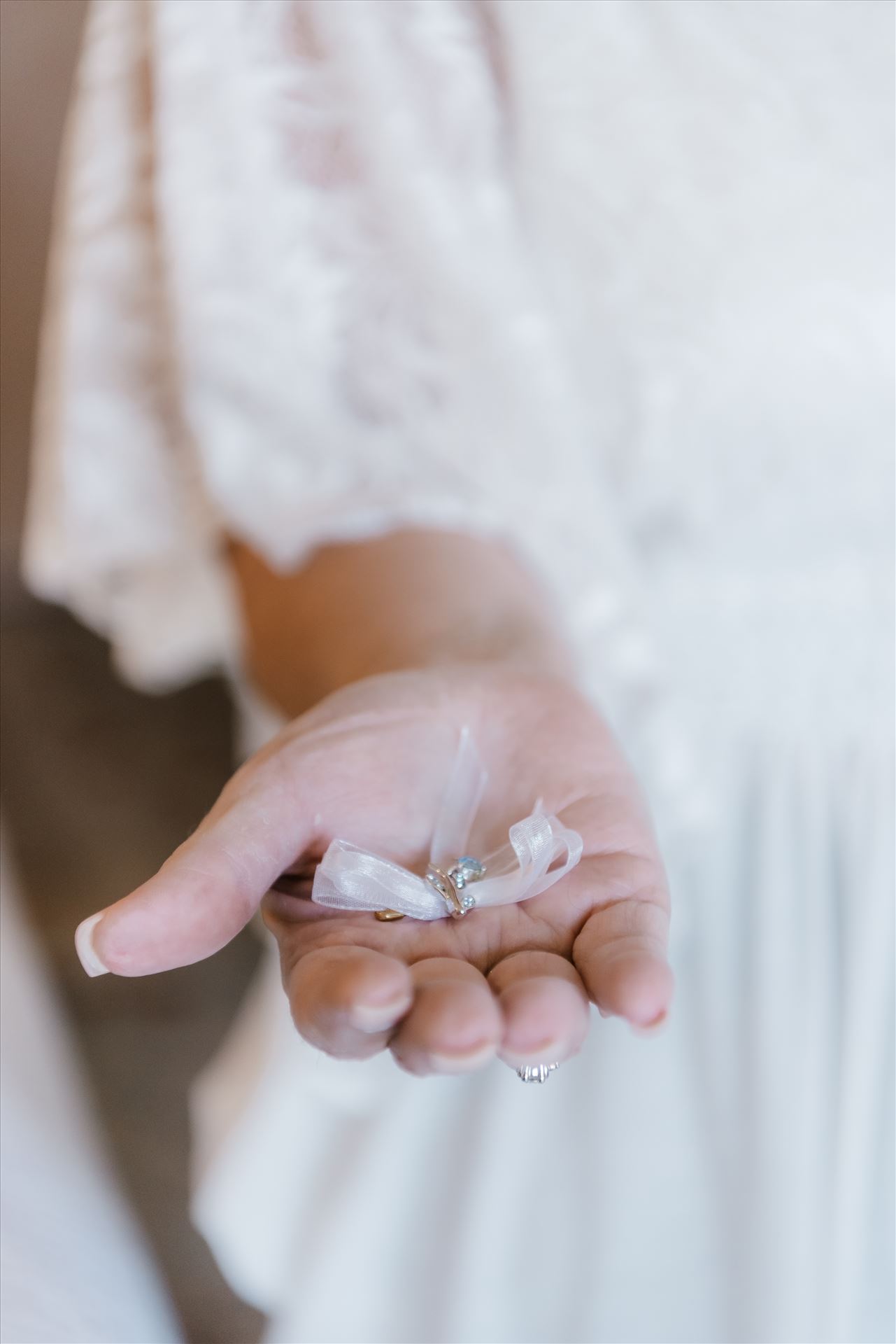 Final-0582.jpg  by Sarah Williams