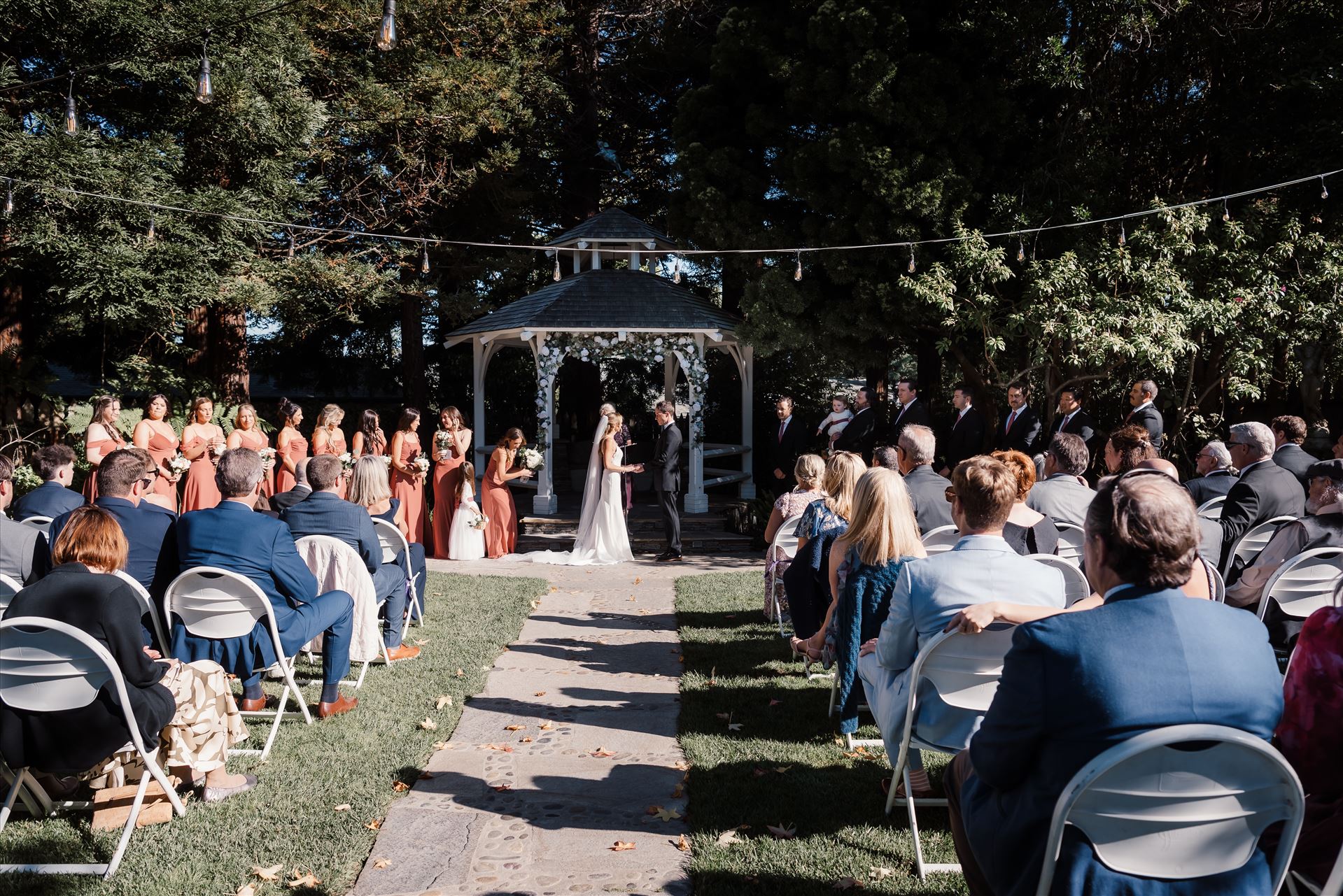 Final-8160.jpg  by Sarah Williams