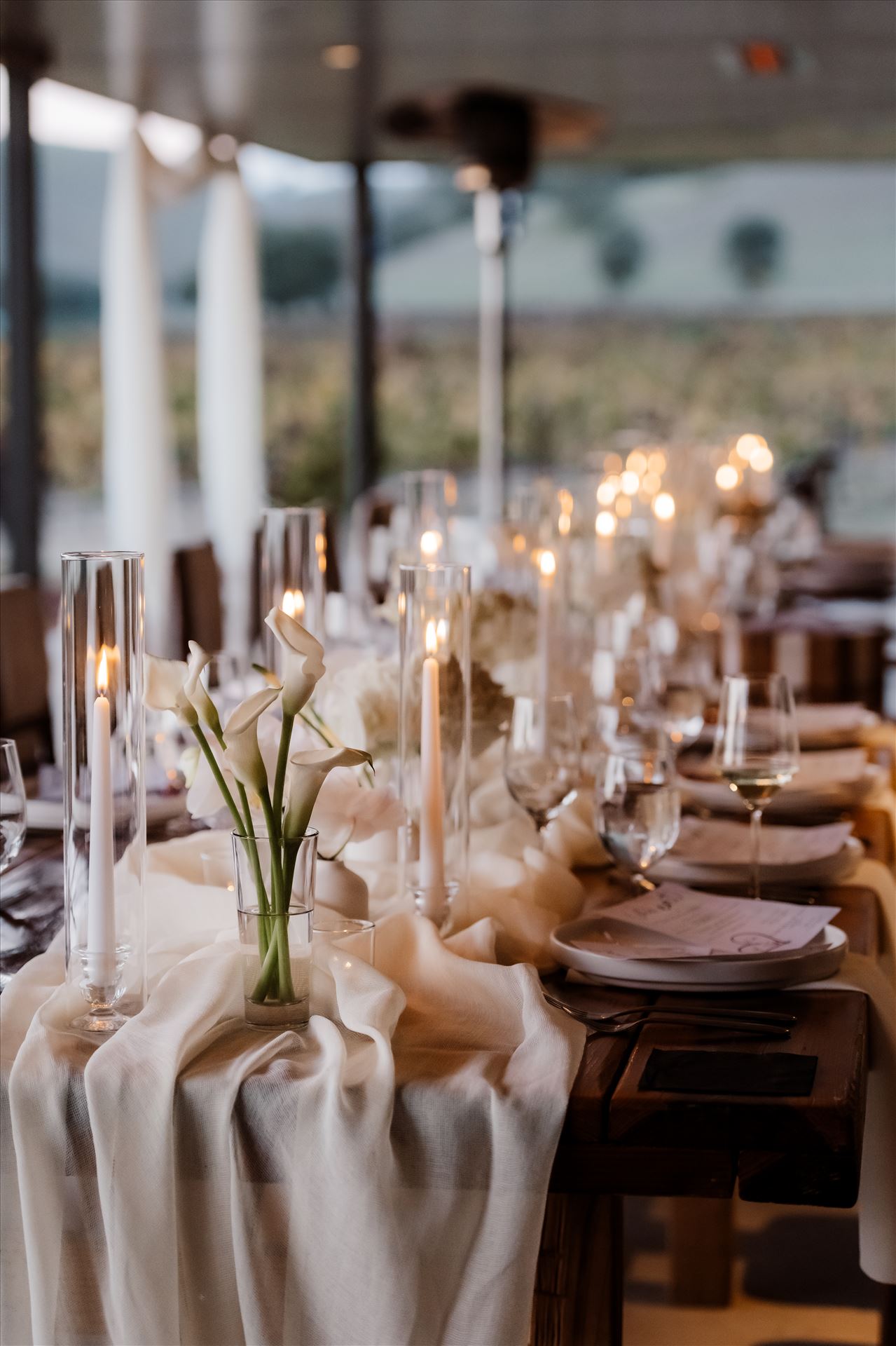 Final-2775.jpg  by Sarah Williams