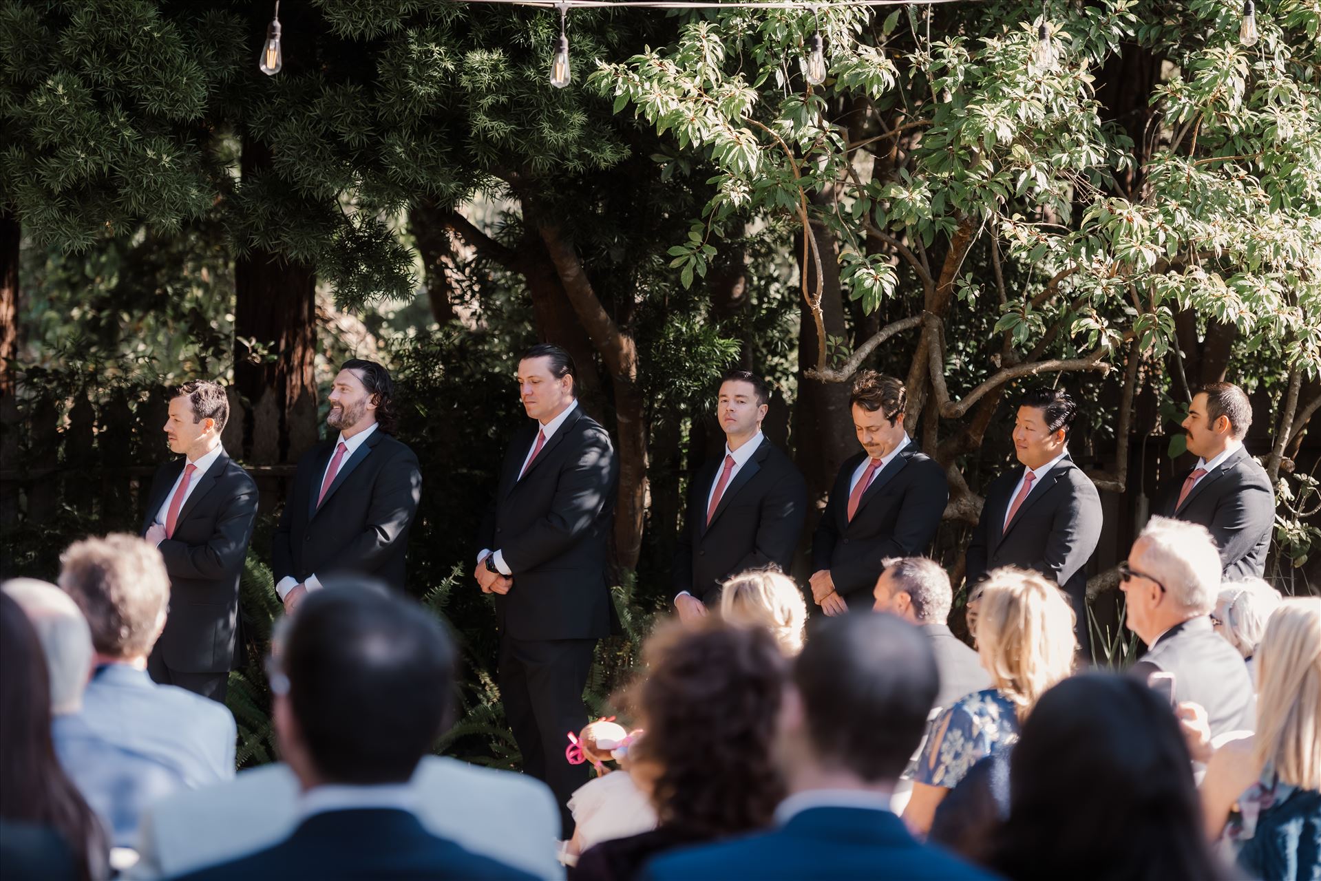 Final-0173.jpg  by Sarah Williams