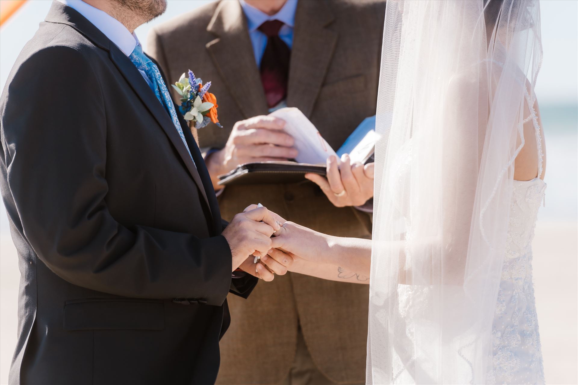 Final-4299.jpg  by Sarah Williams