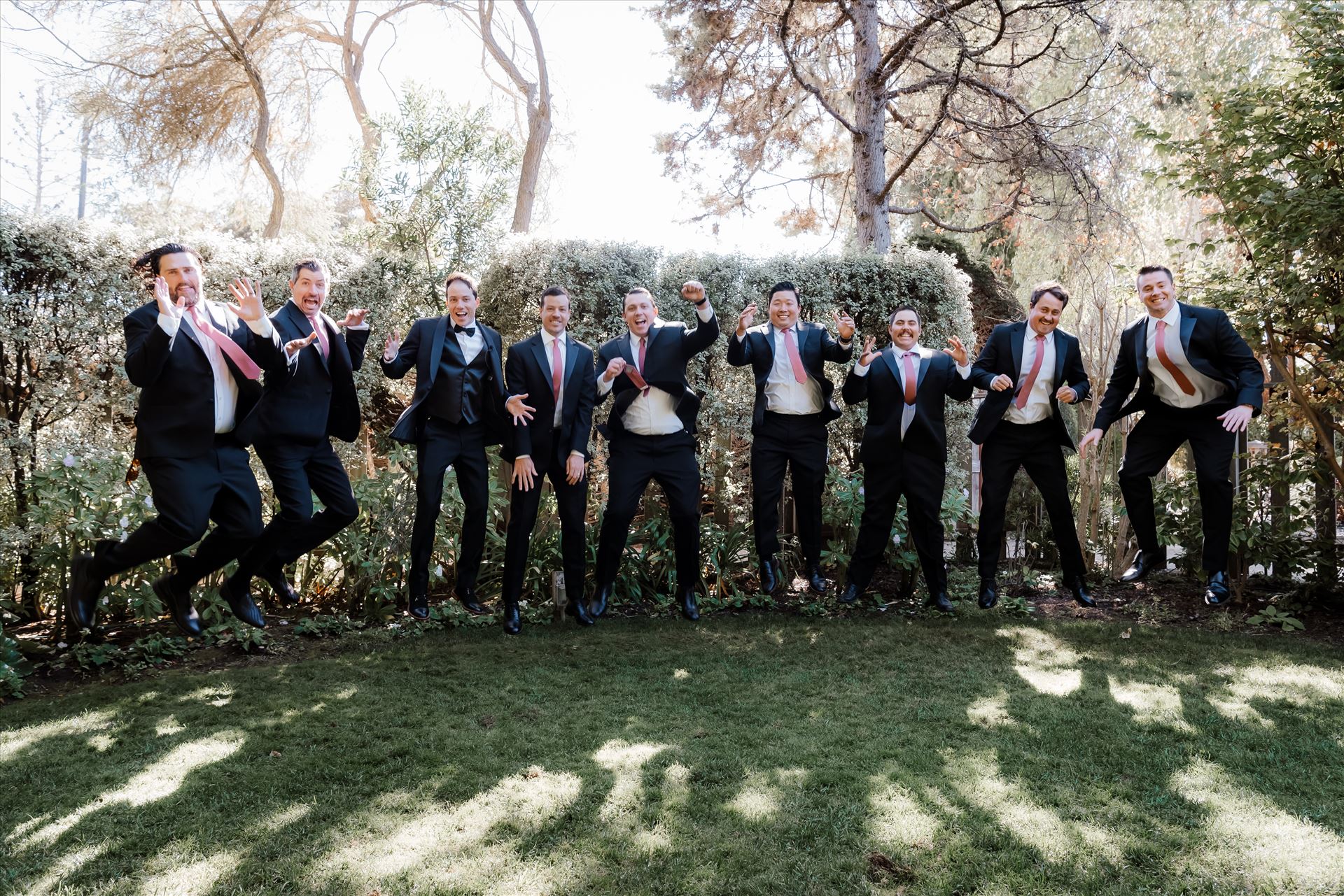 Final-8052.jpg  by Sarah Williams