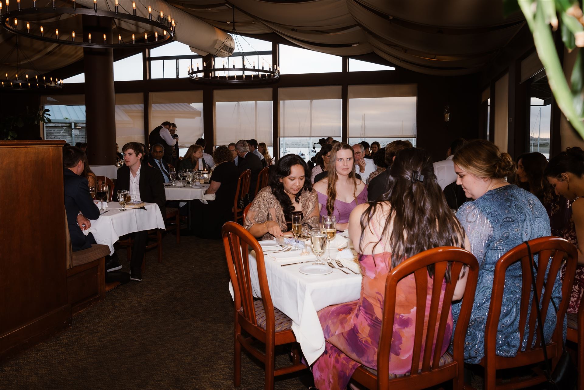 Final-7921.jpg  by Sarah Williams