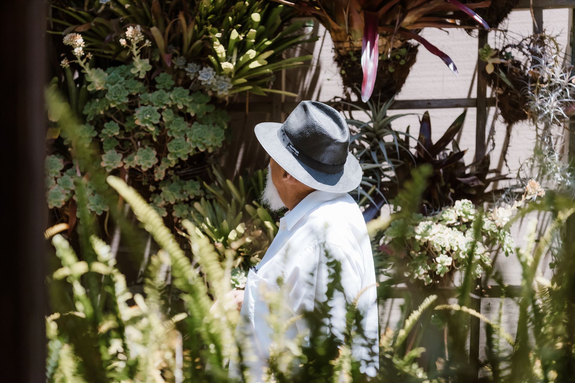 Final-0713.jpg  by Sarah Williams