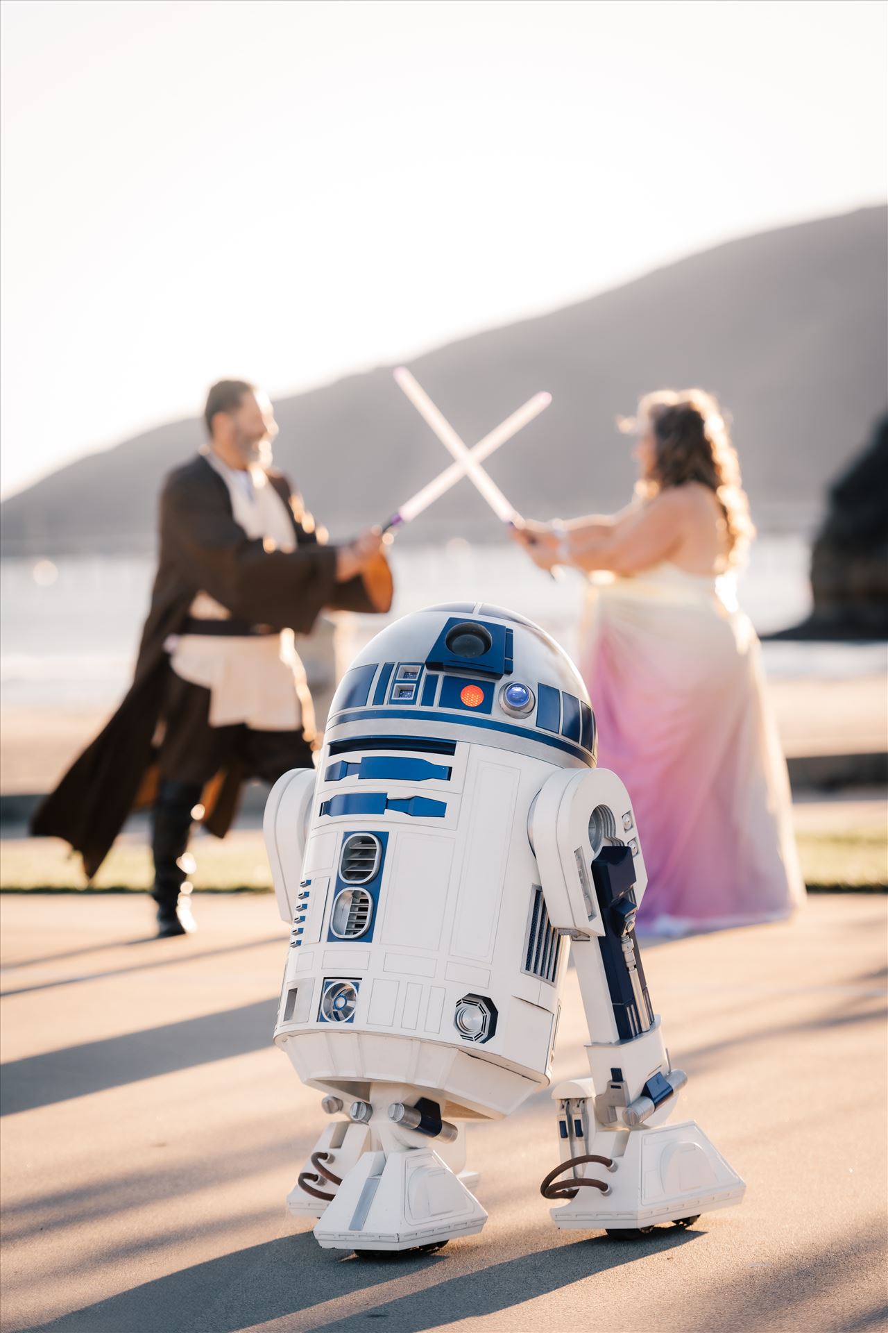 Final-8405.jpg  by Sarah Williams