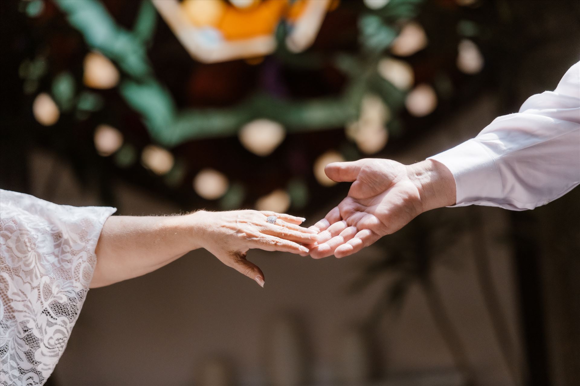 Final-8699.jpg  by Sarah Williams