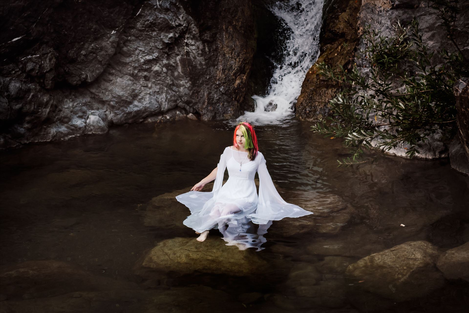 Final--27.jpg  by Sarah Williams