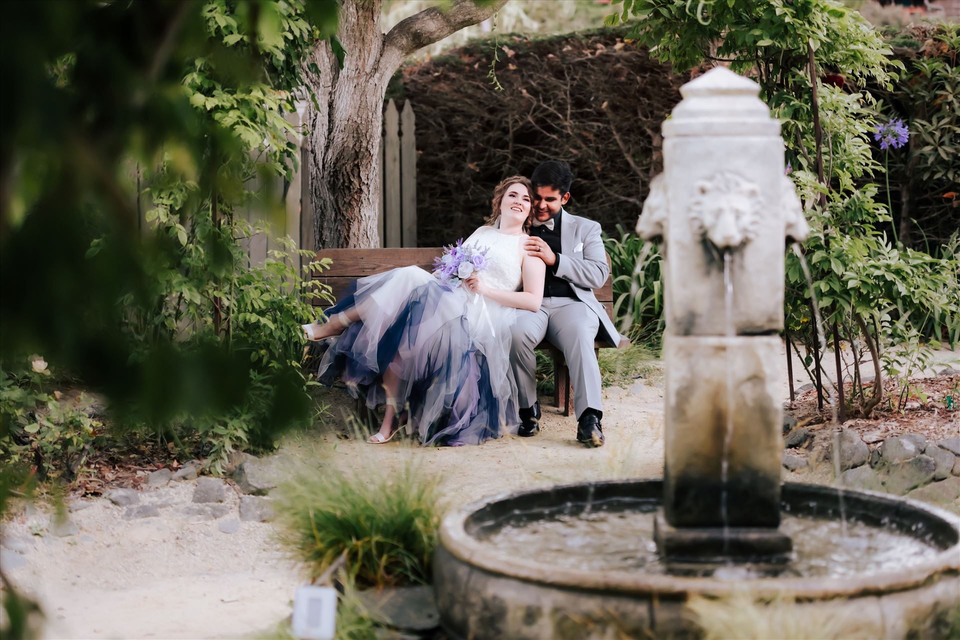 WF--2.JPG  by Sarah Williams