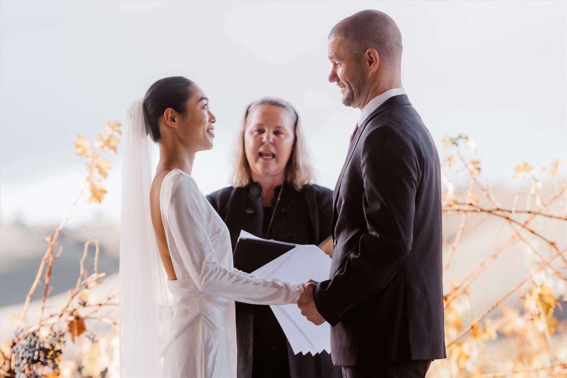 Final-2464.jpg  by Sarah Williams