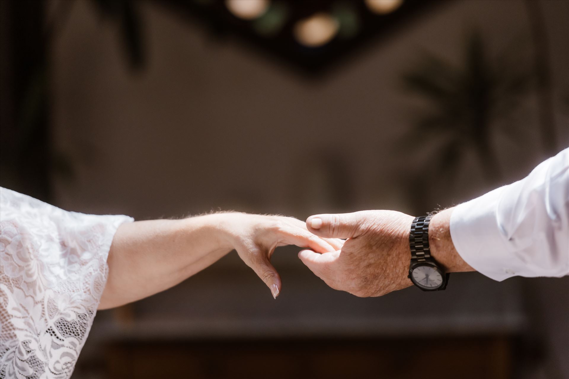 Final-8696.jpg  by Sarah Williams