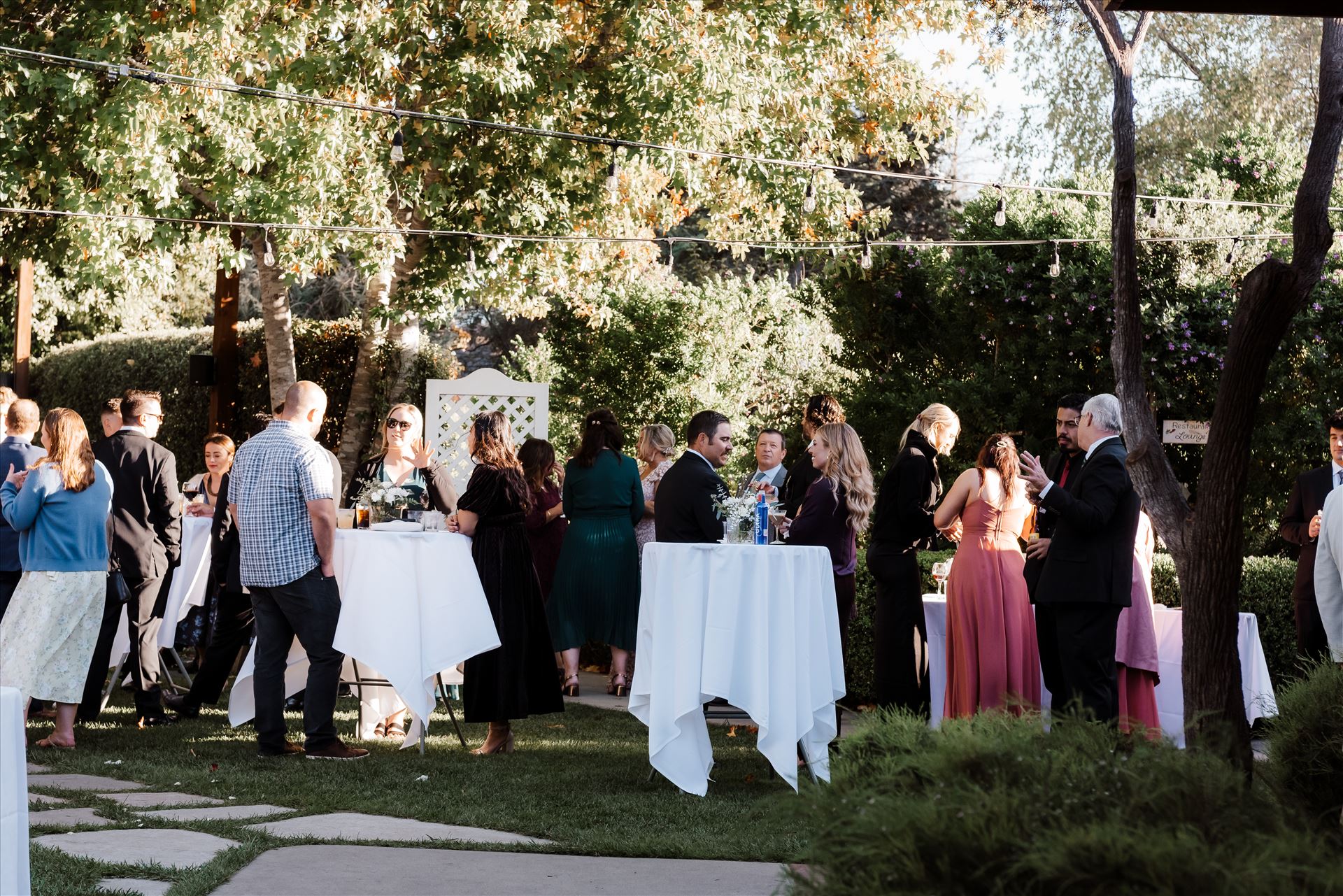 Final-8519.jpg  by Sarah Williams