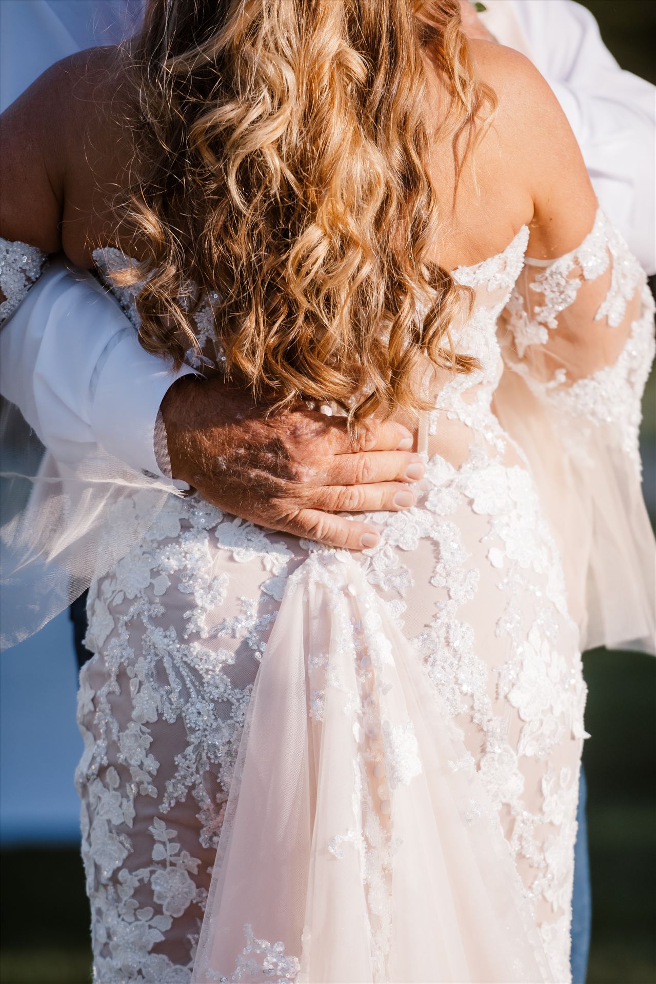 Final-1186.jpg  by Sarah Williams