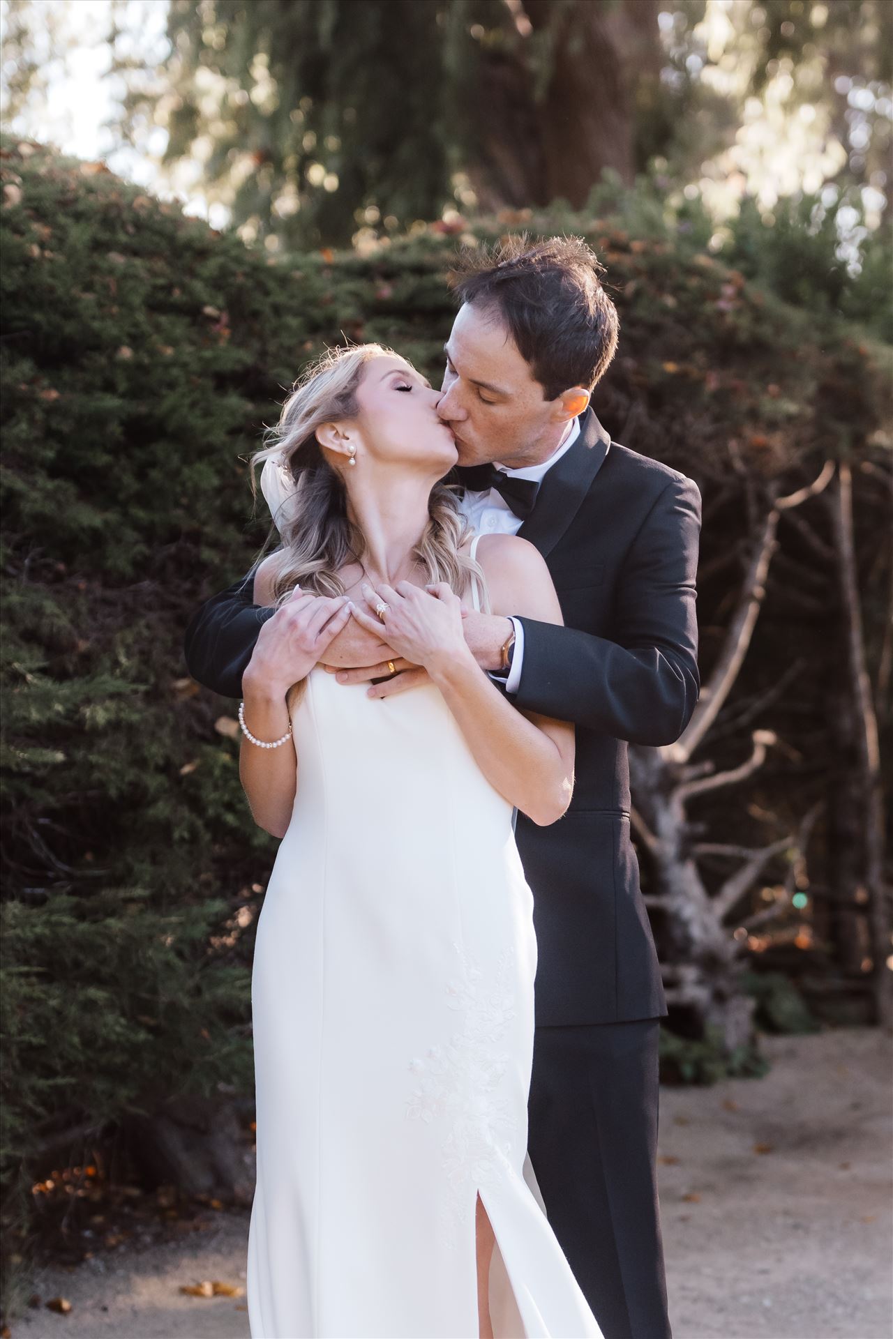 Final BG--4.jpg  by Sarah Williams