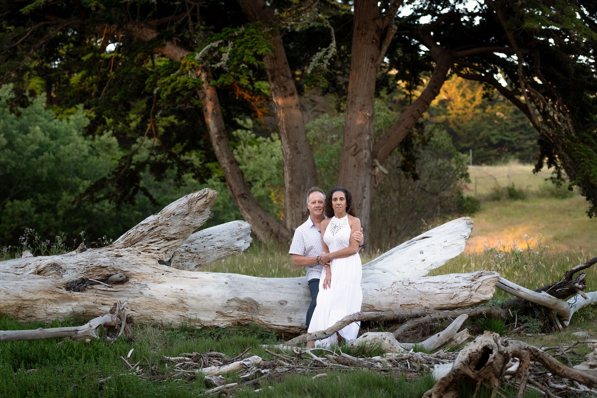 Final--9.jpg  by Sarah Williams