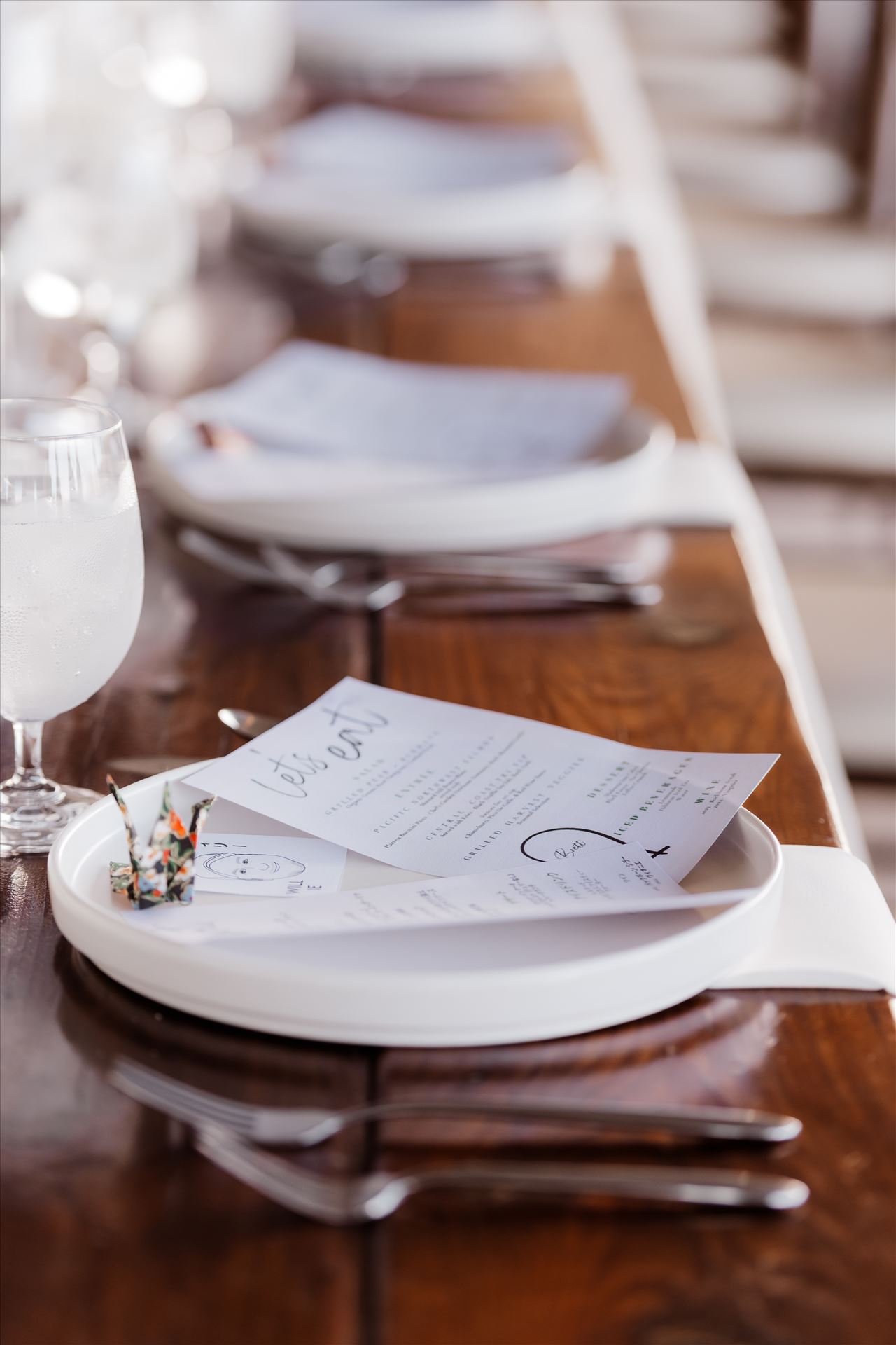 Final-2318.jpg  by Sarah Williams