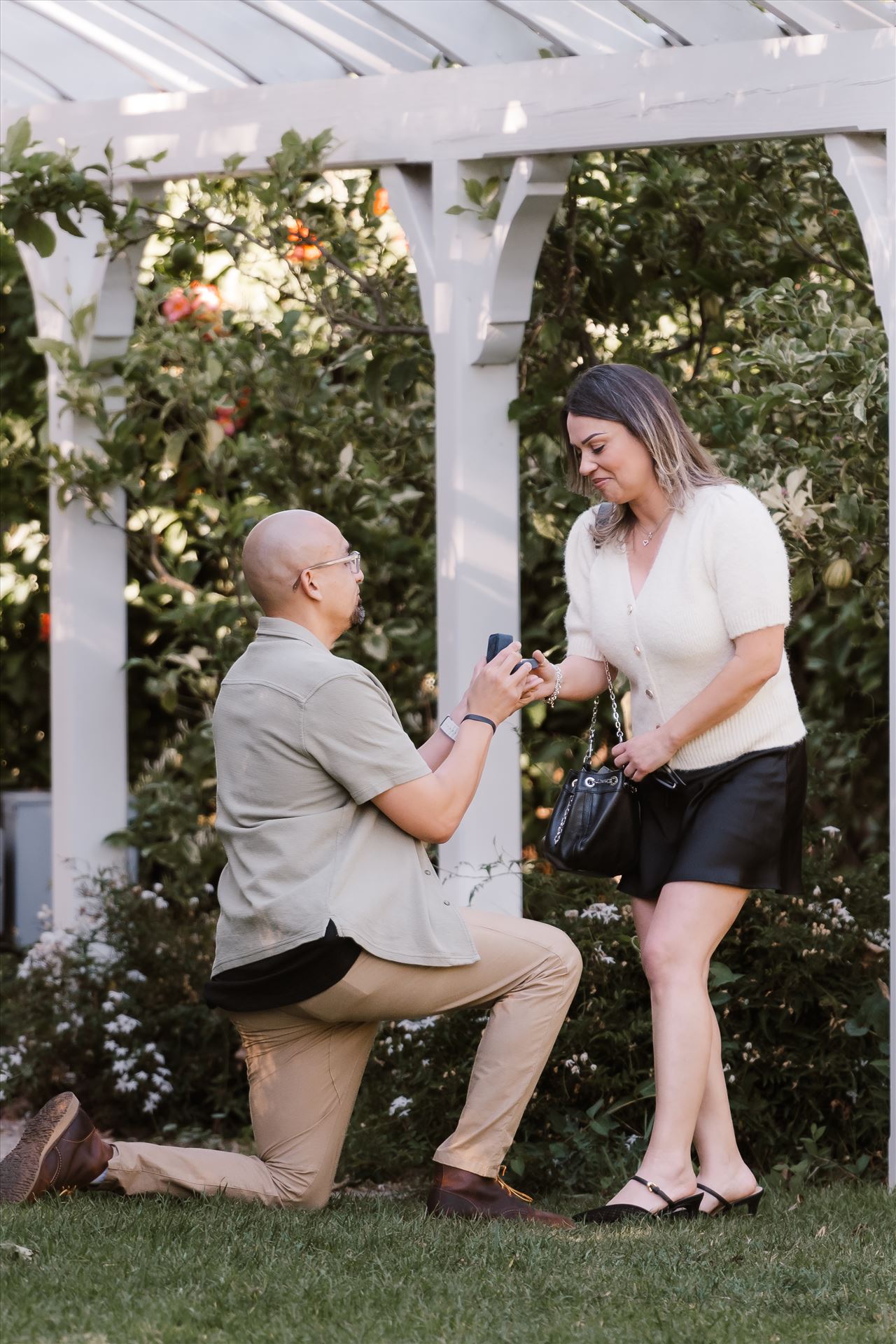 Final-5174.jpg  by Sarah Williams