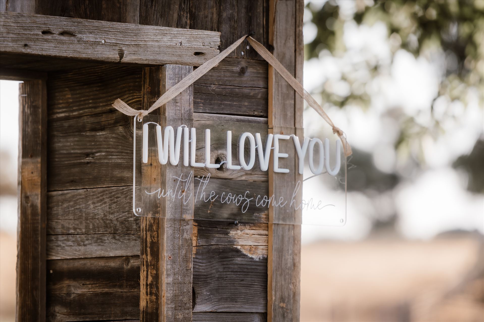 Final-1136.jpg  by Sarah Williams