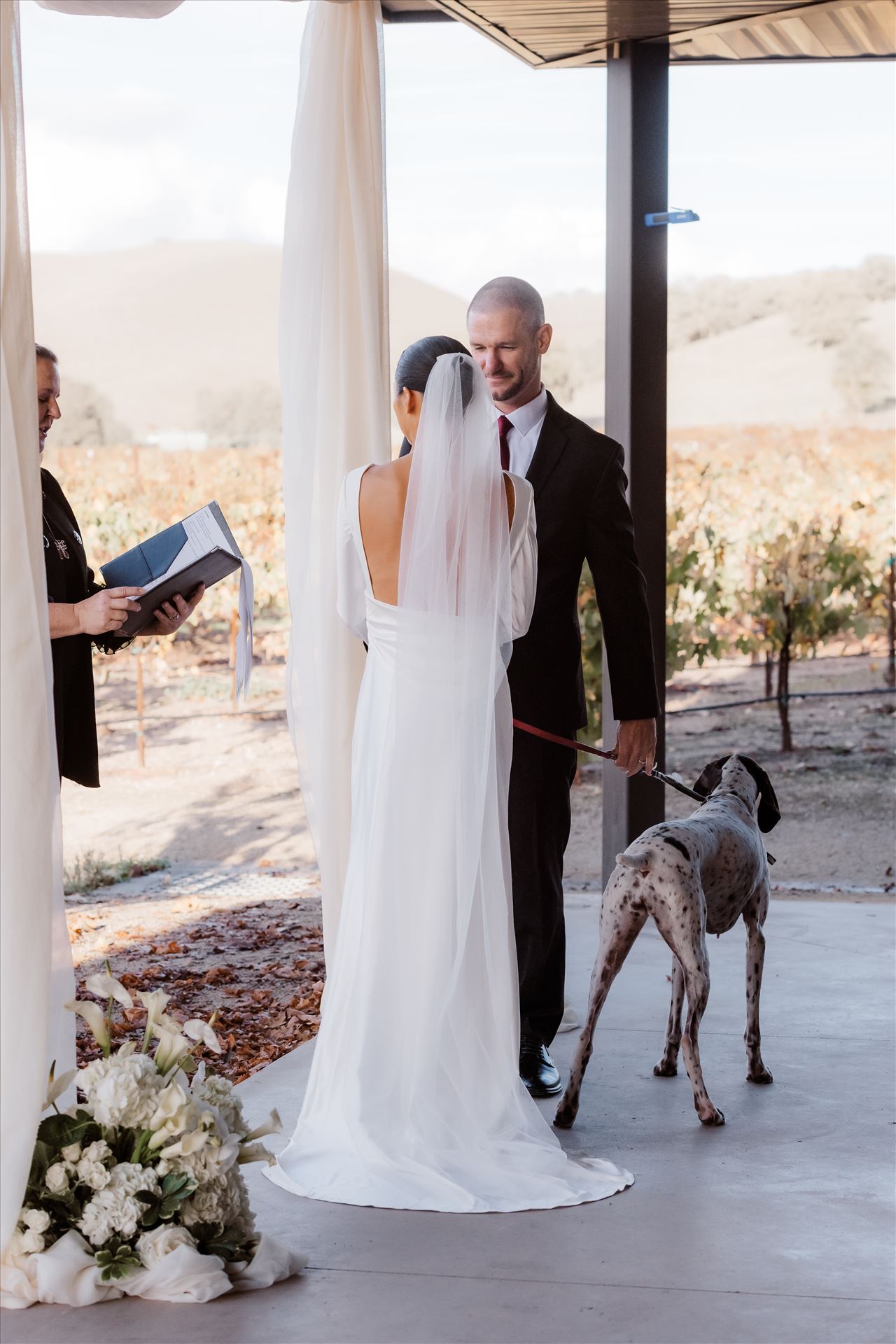 Final-2448.jpg  by Sarah Williams